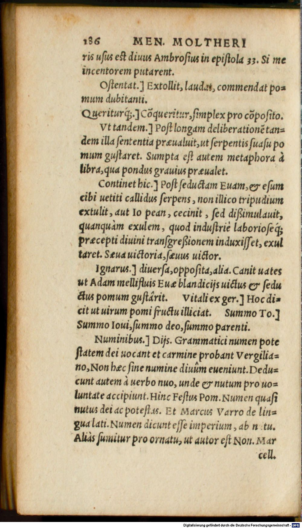 Image