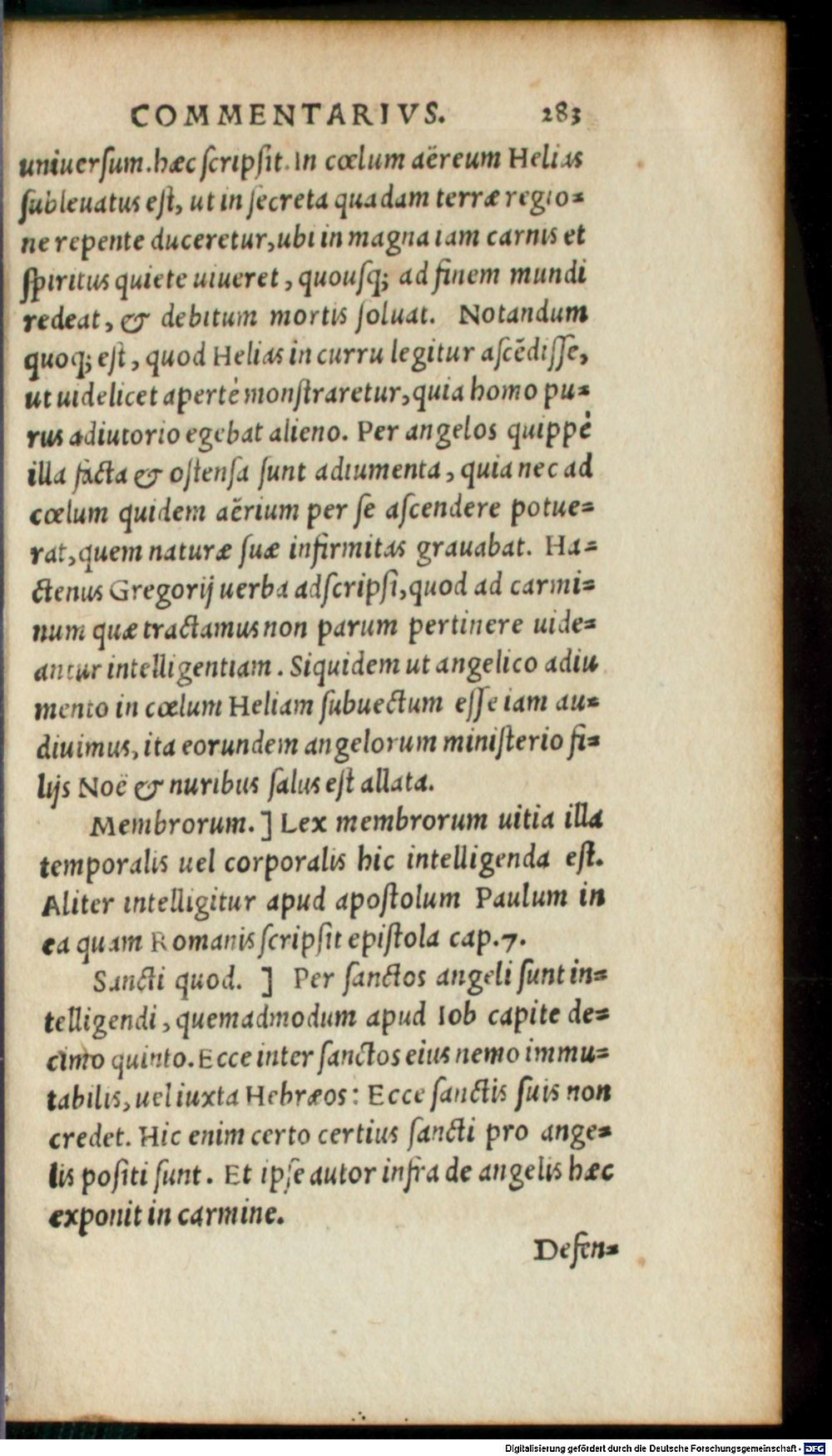 Image