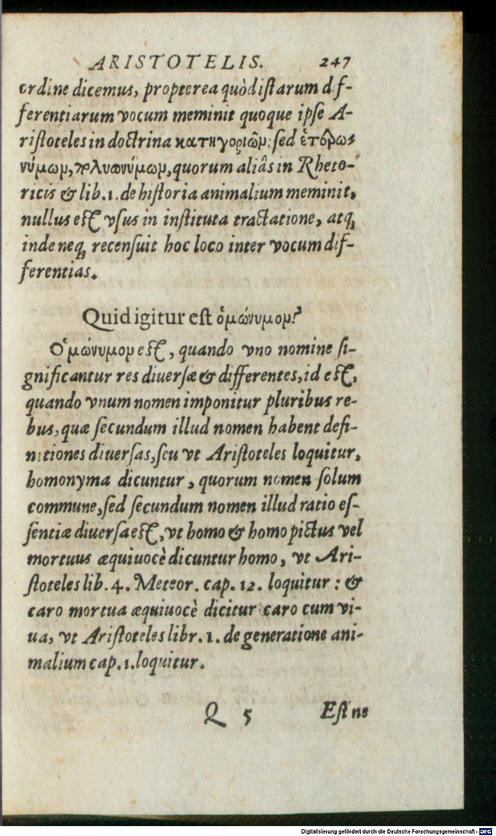 Image