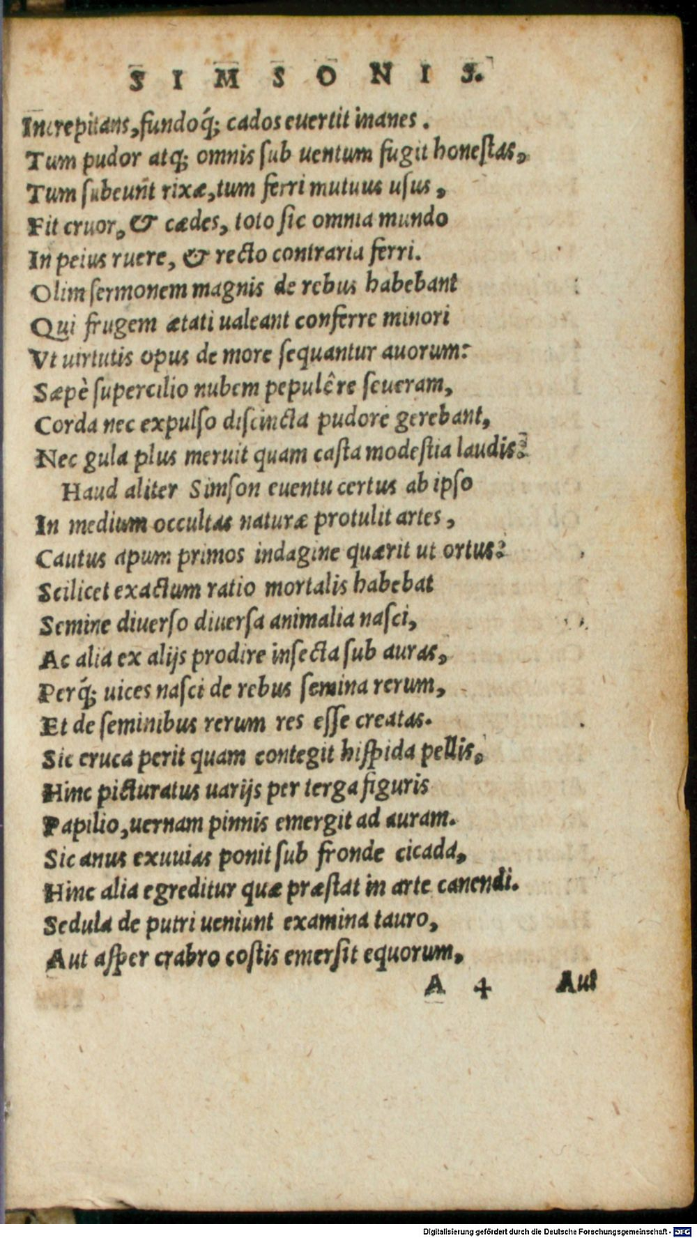 Image