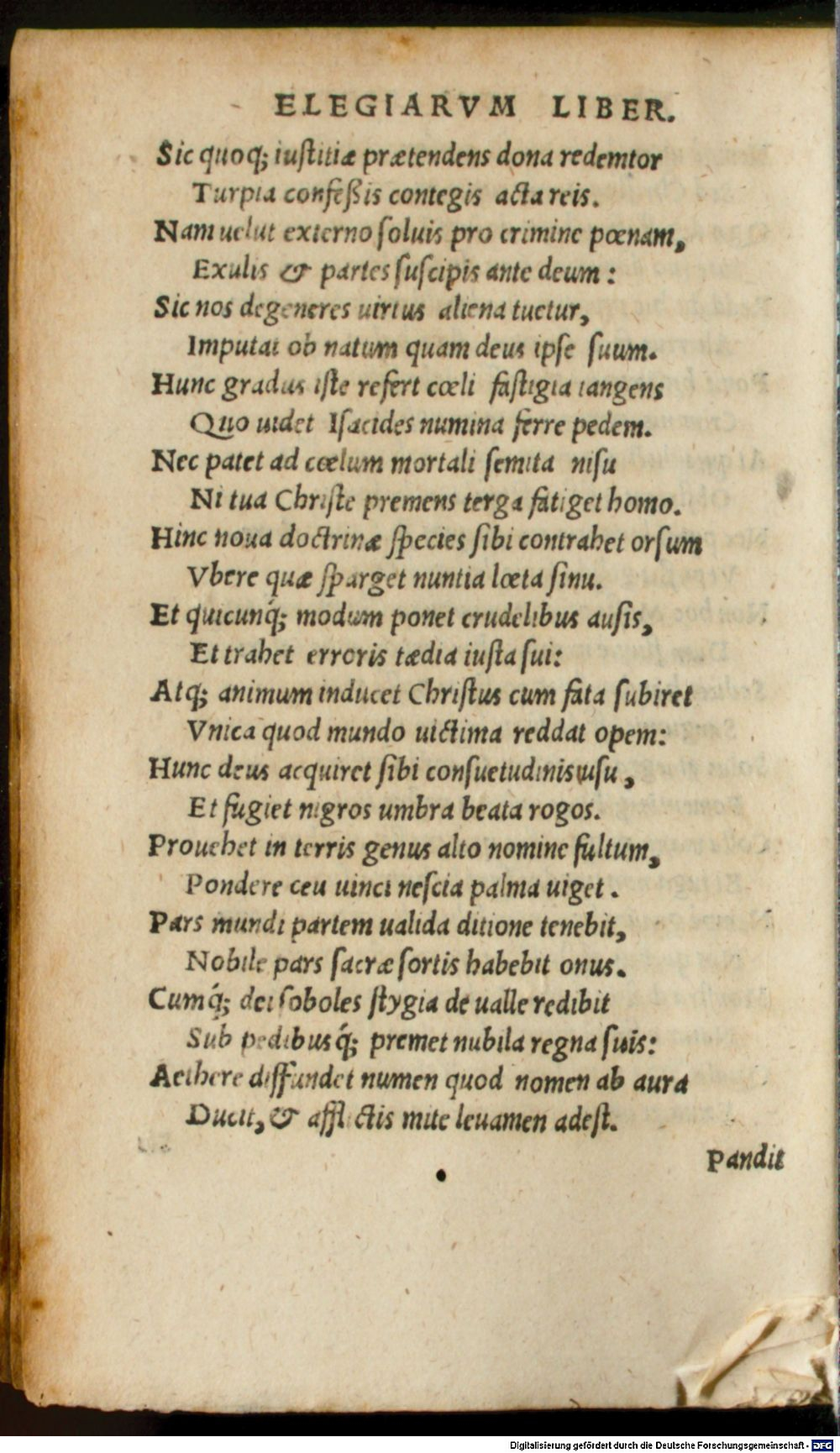 Image