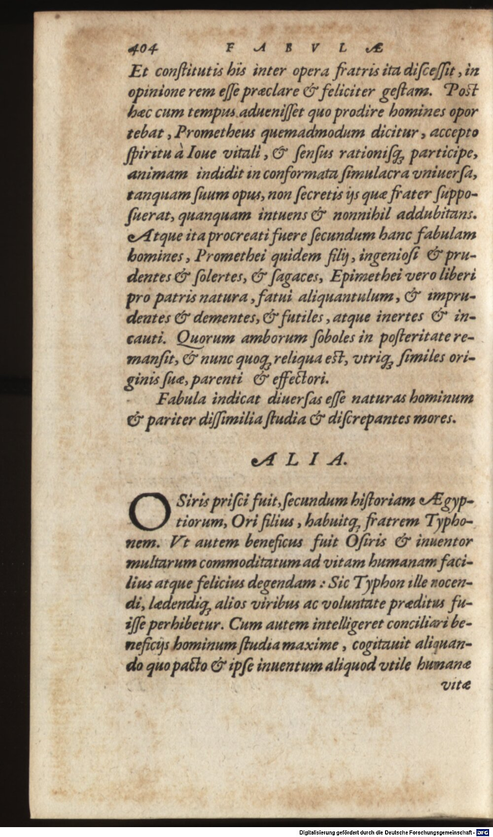 Image