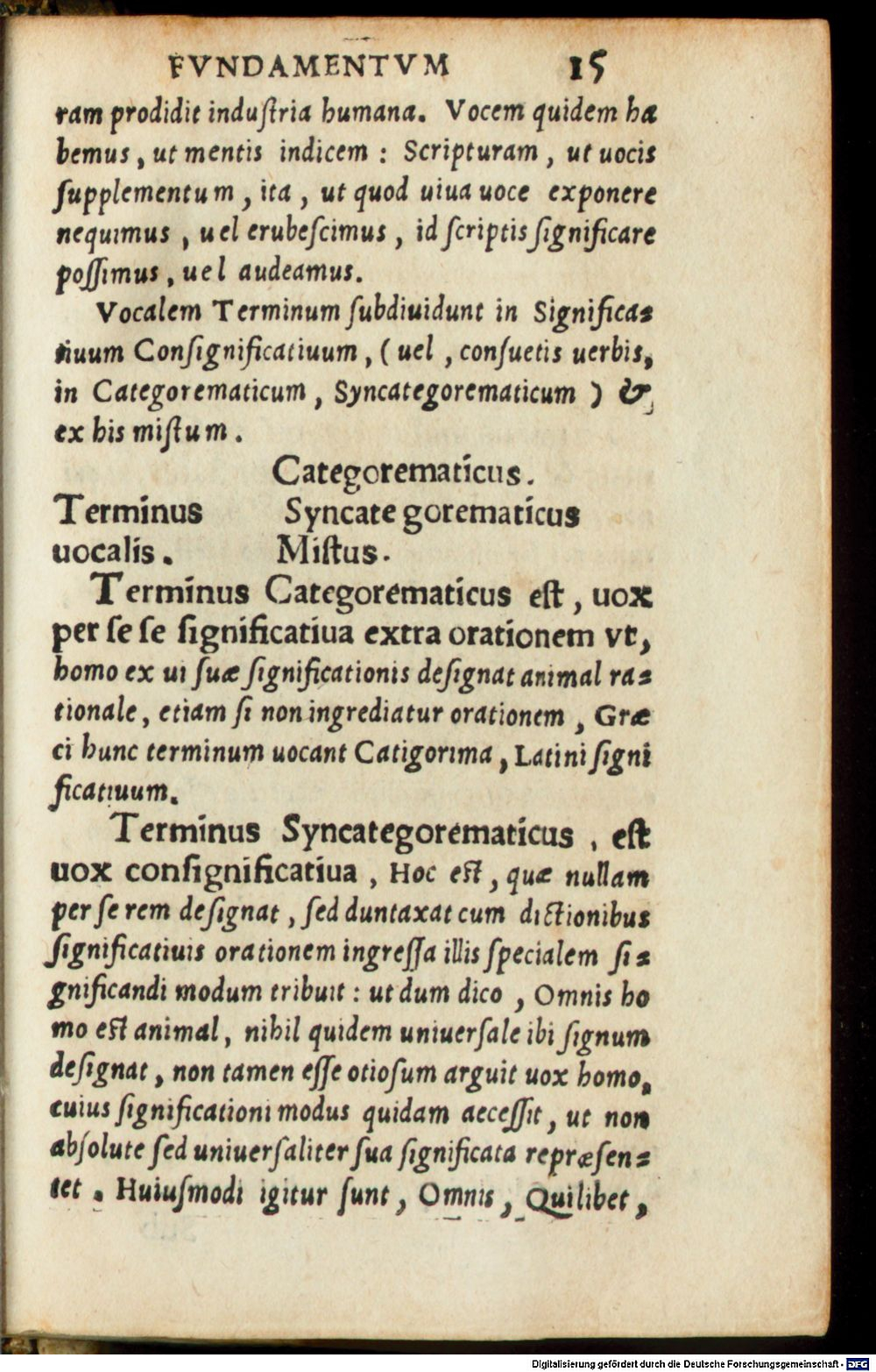 Image