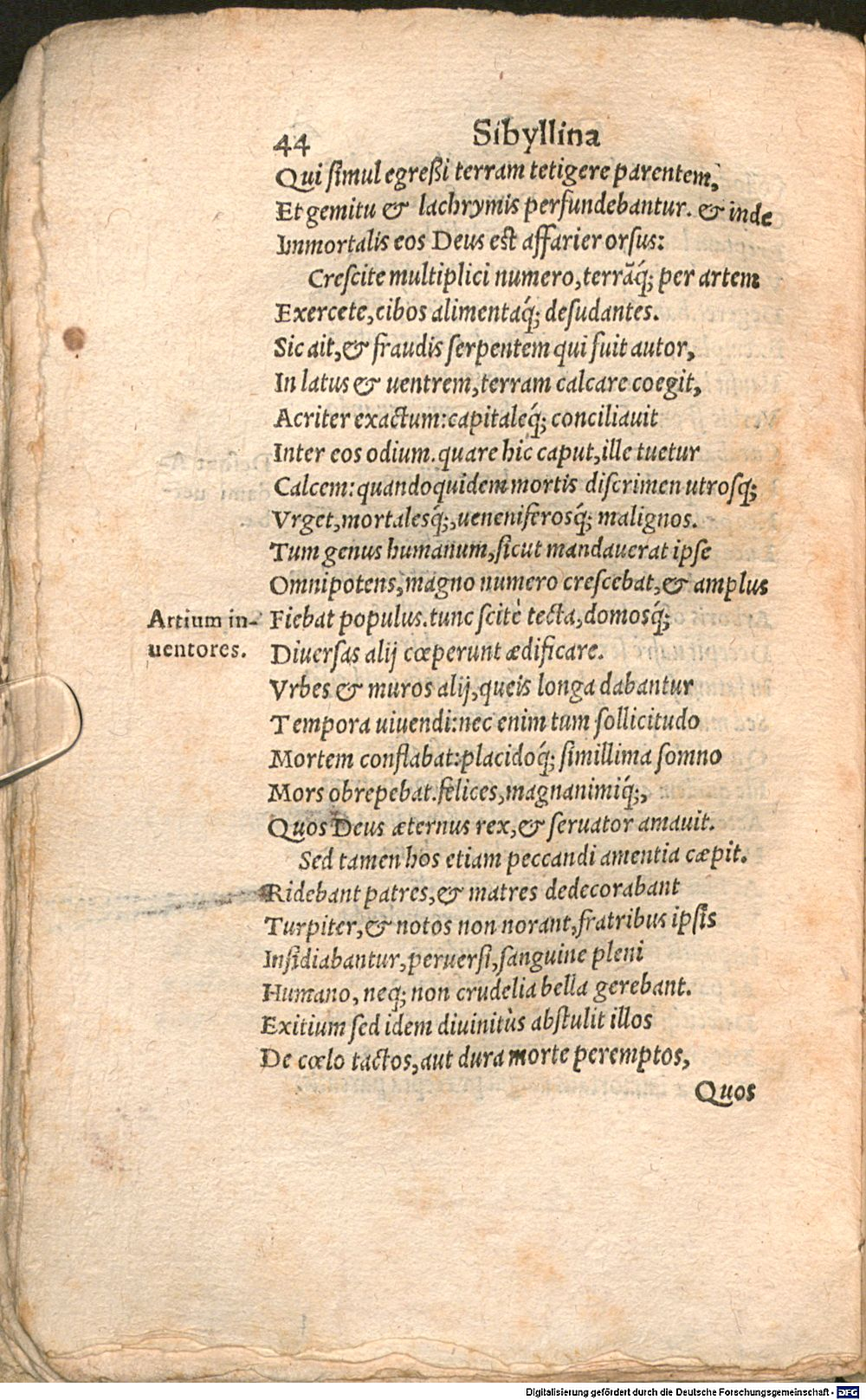 Image