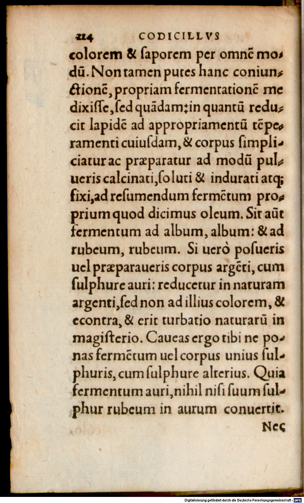 Image