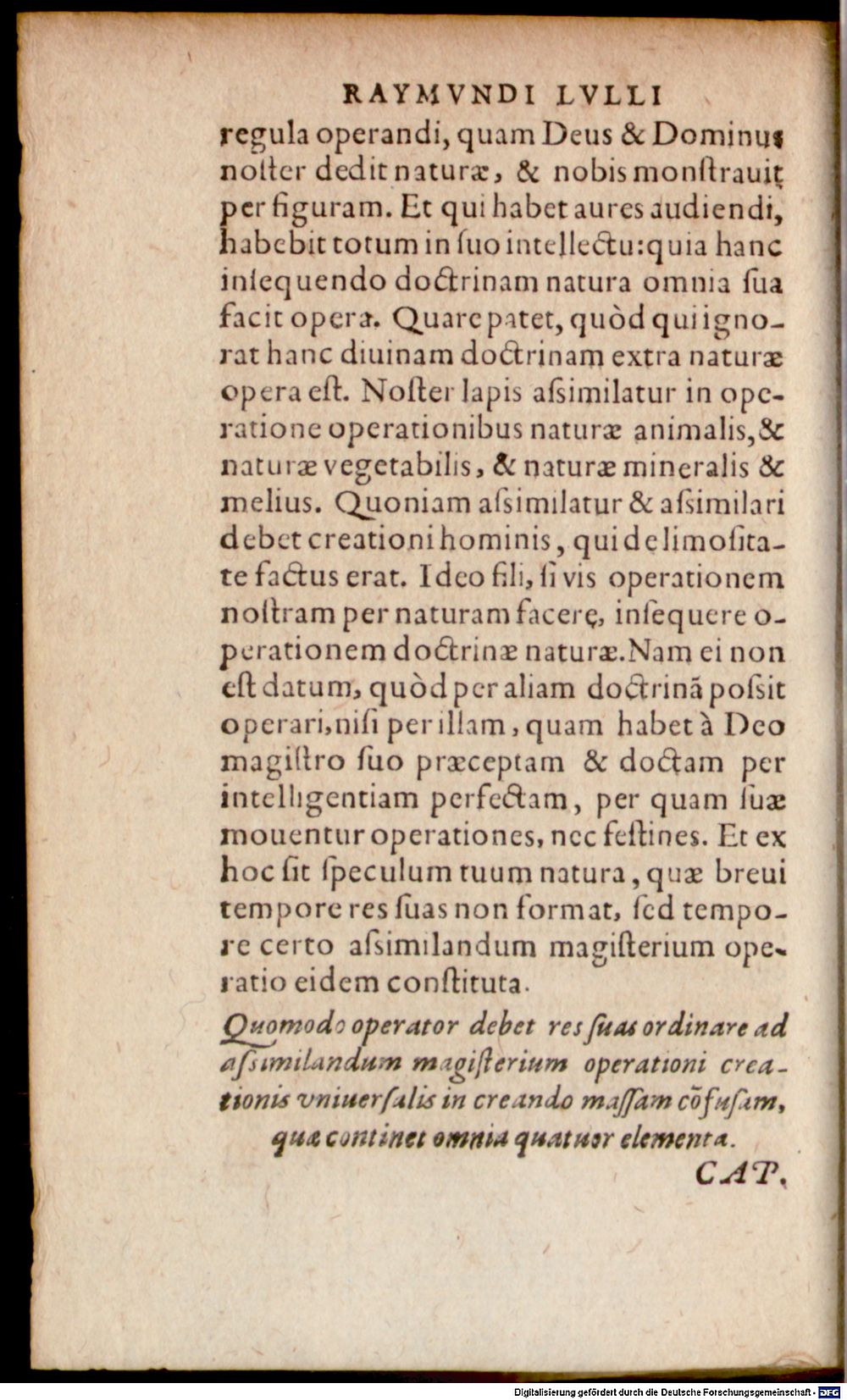 Image