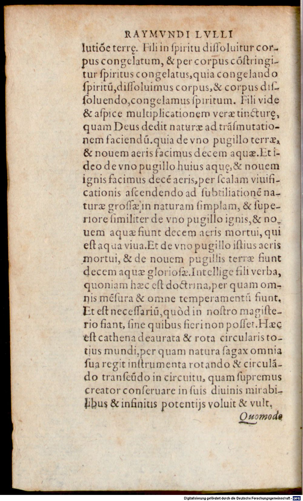Image