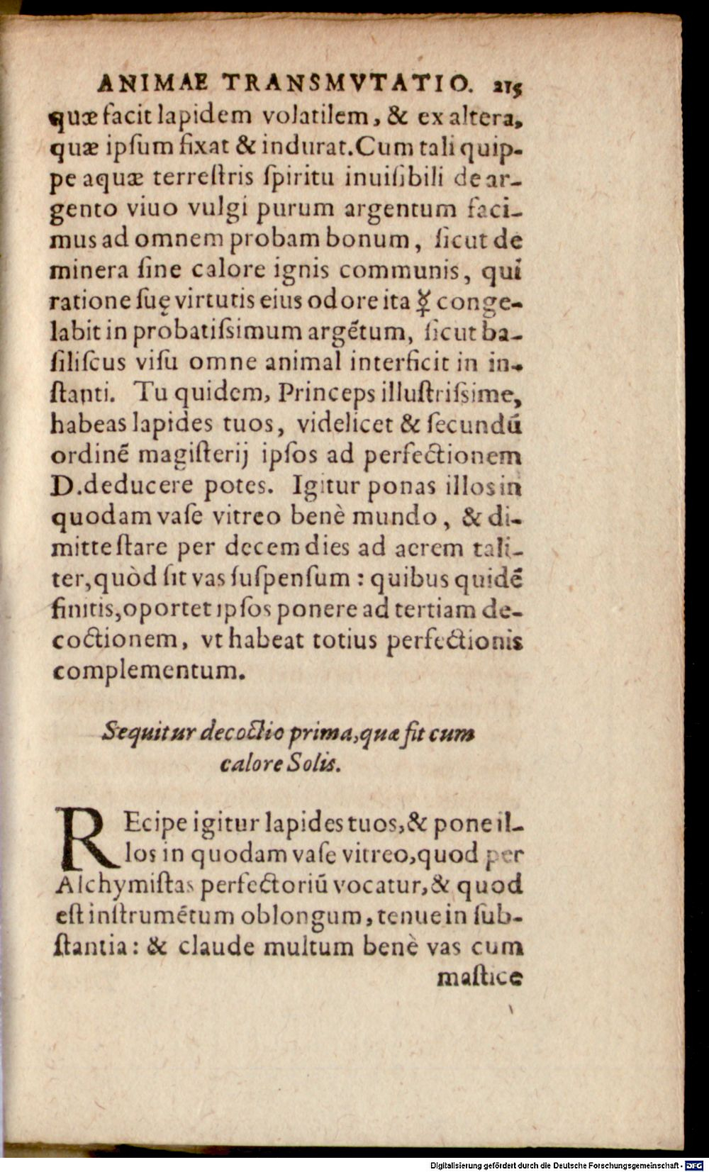 Image