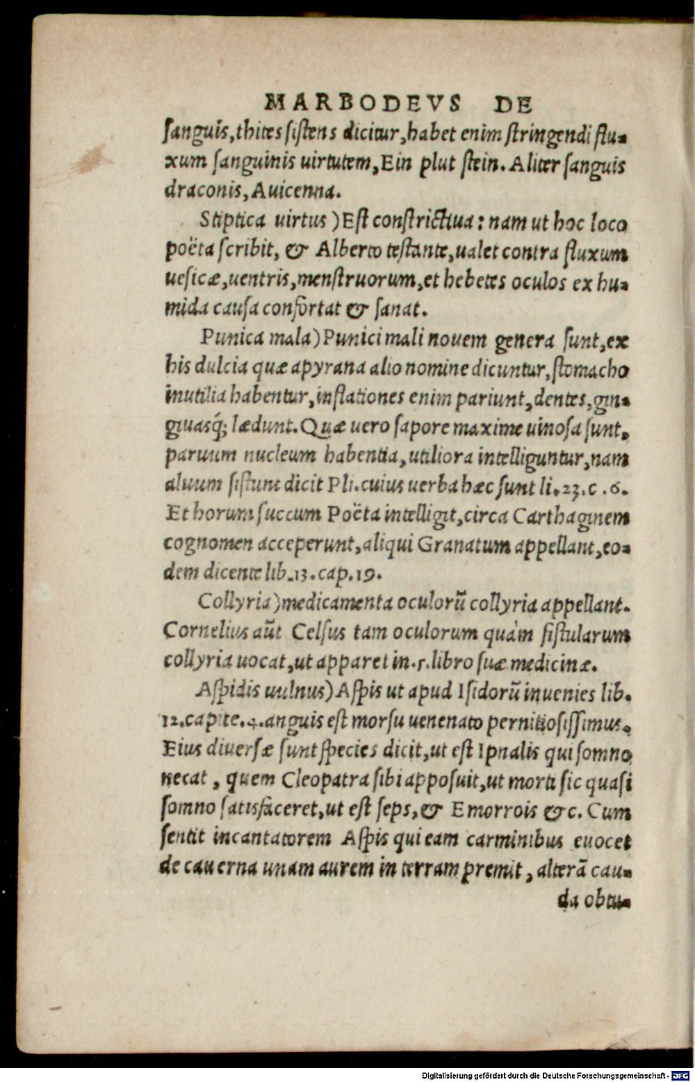 Image