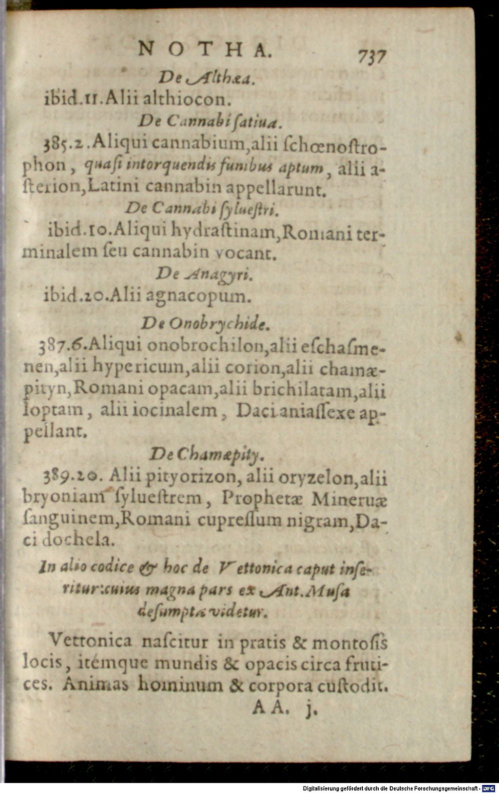 Image