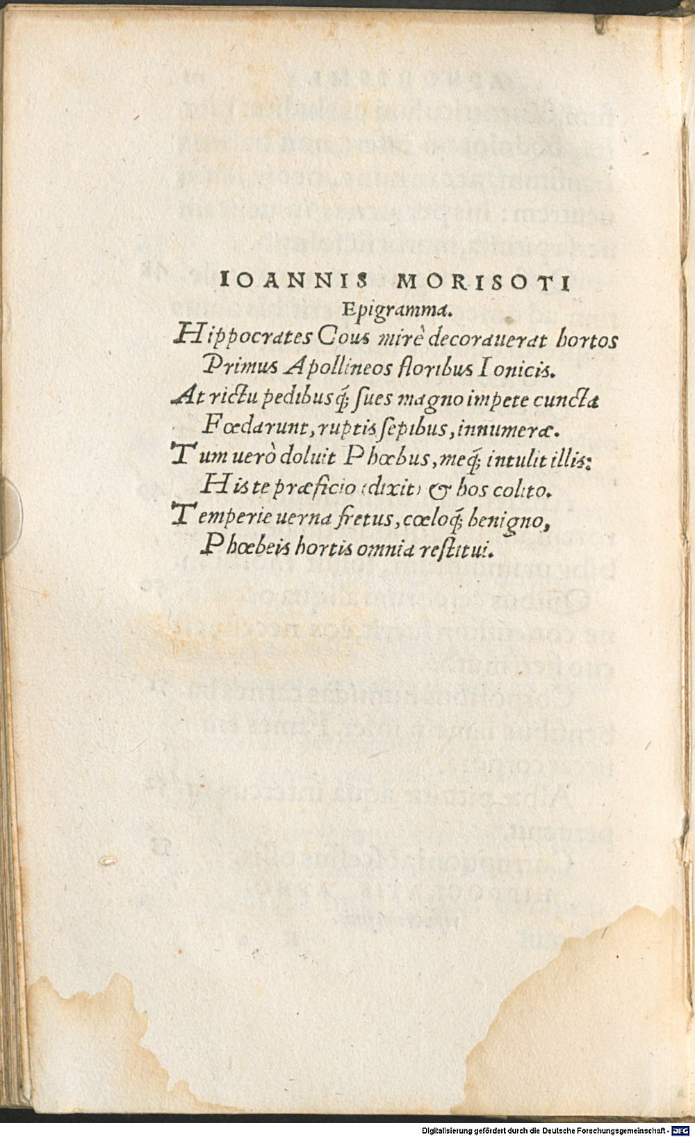 Image