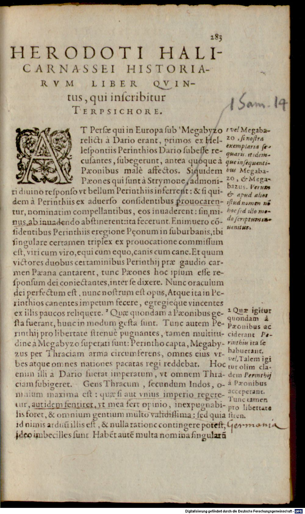 Image