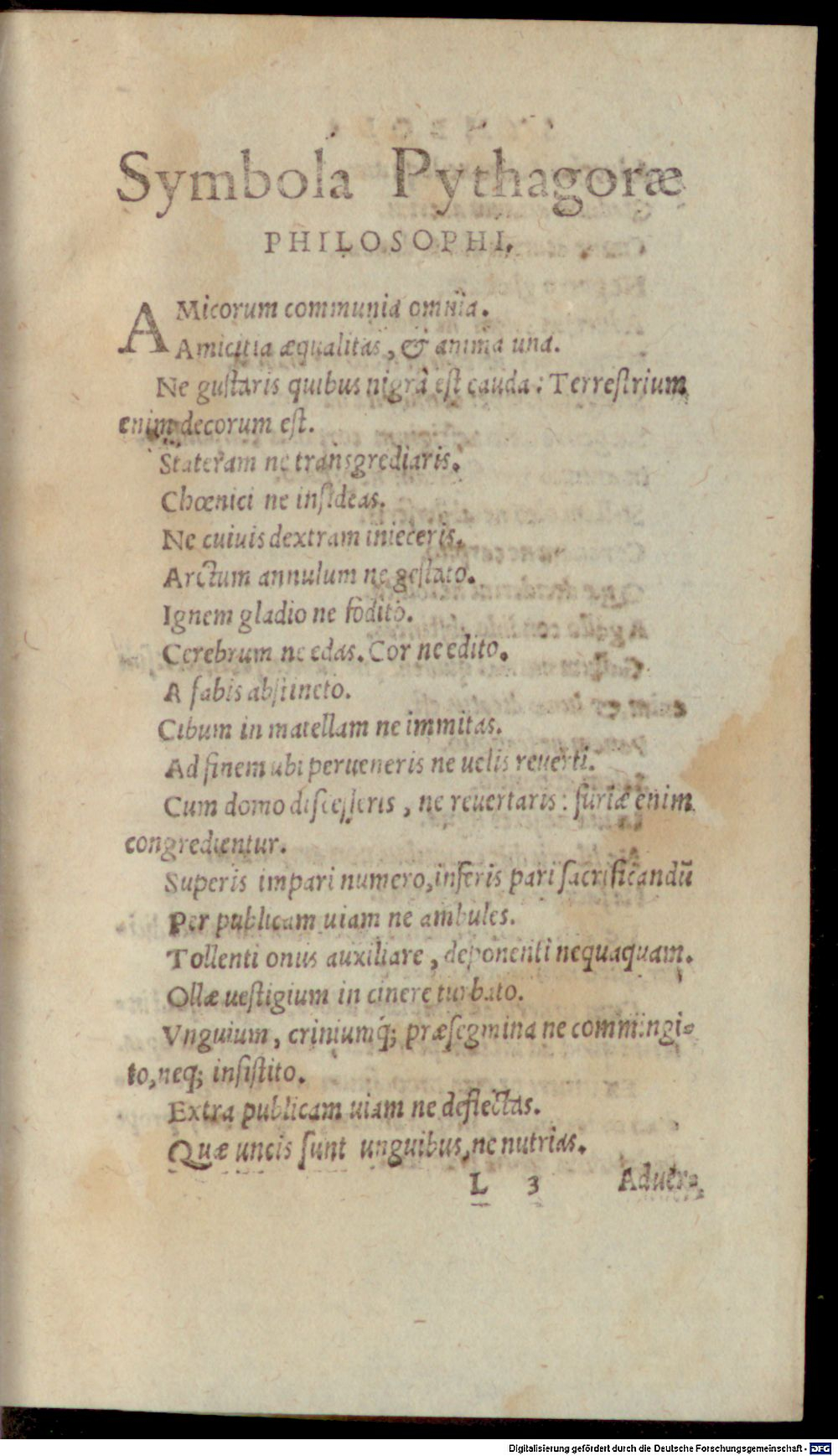 Image