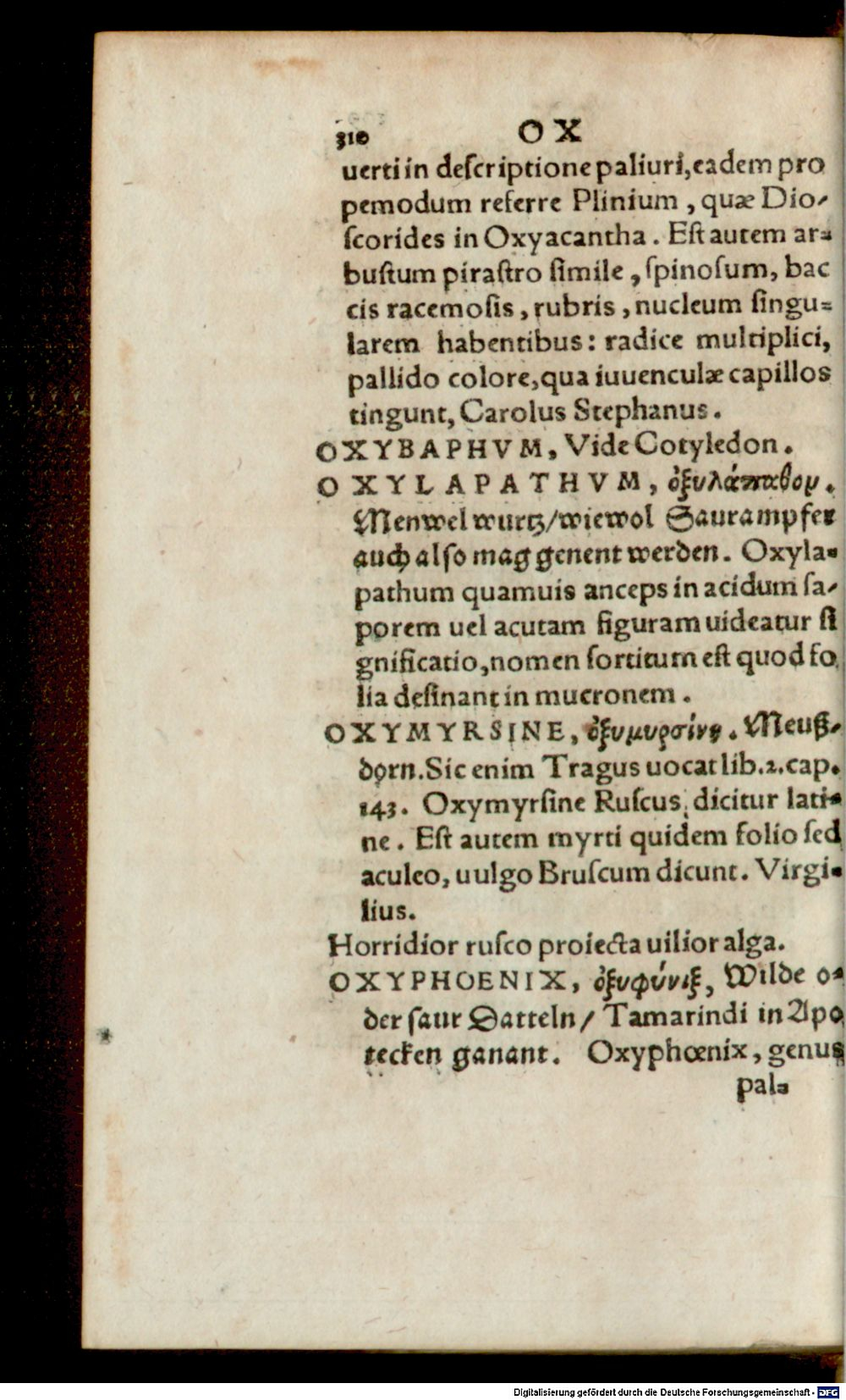 Image
