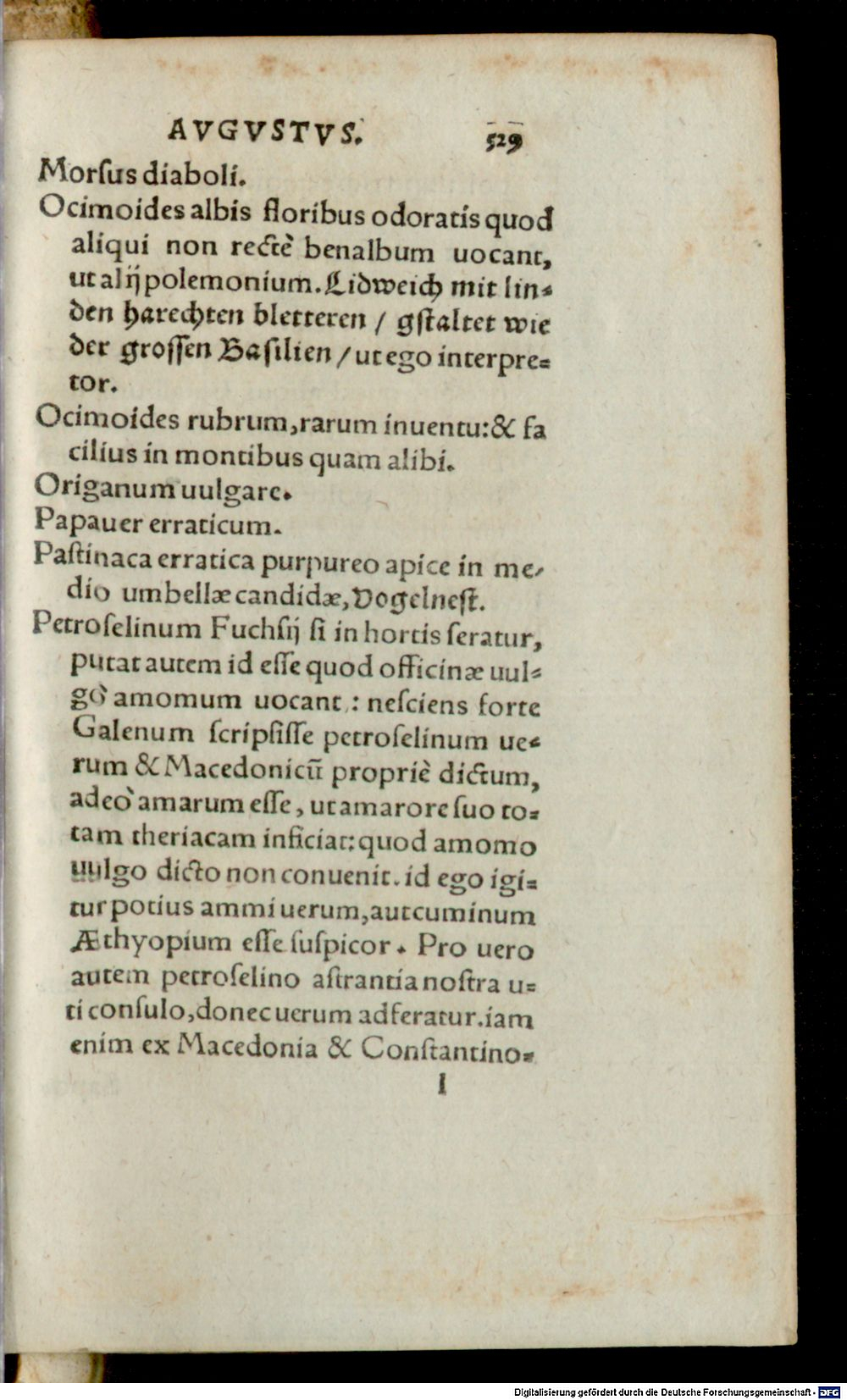 Image