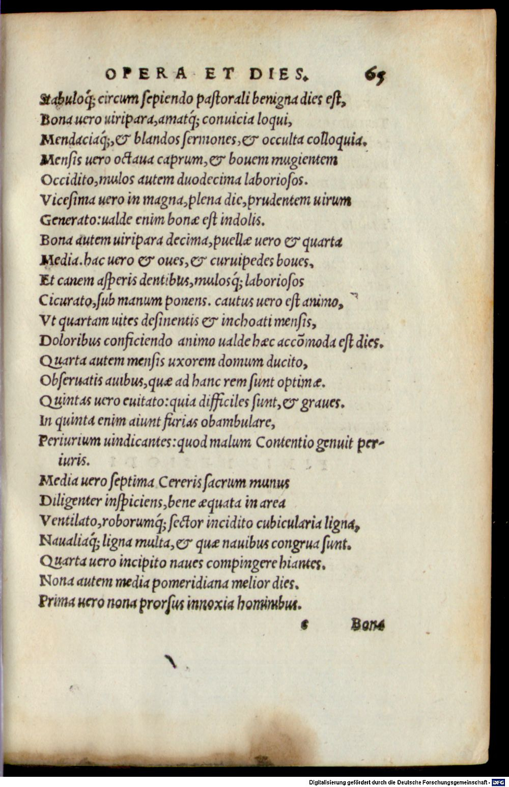 Image