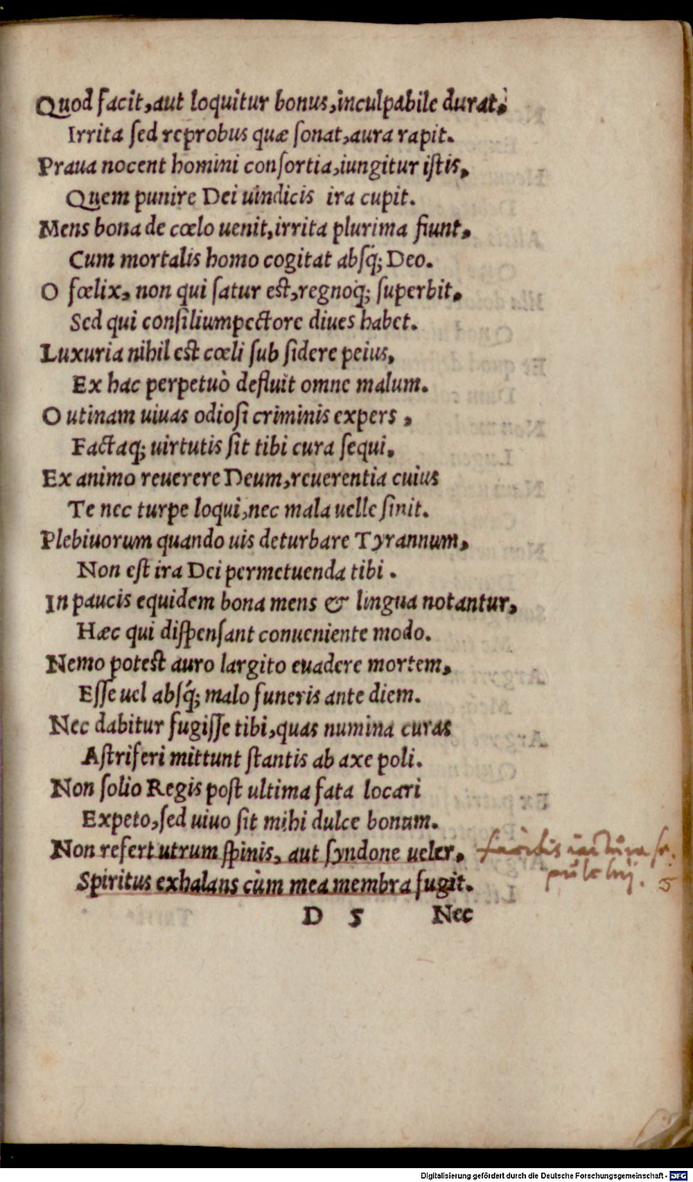 Image
