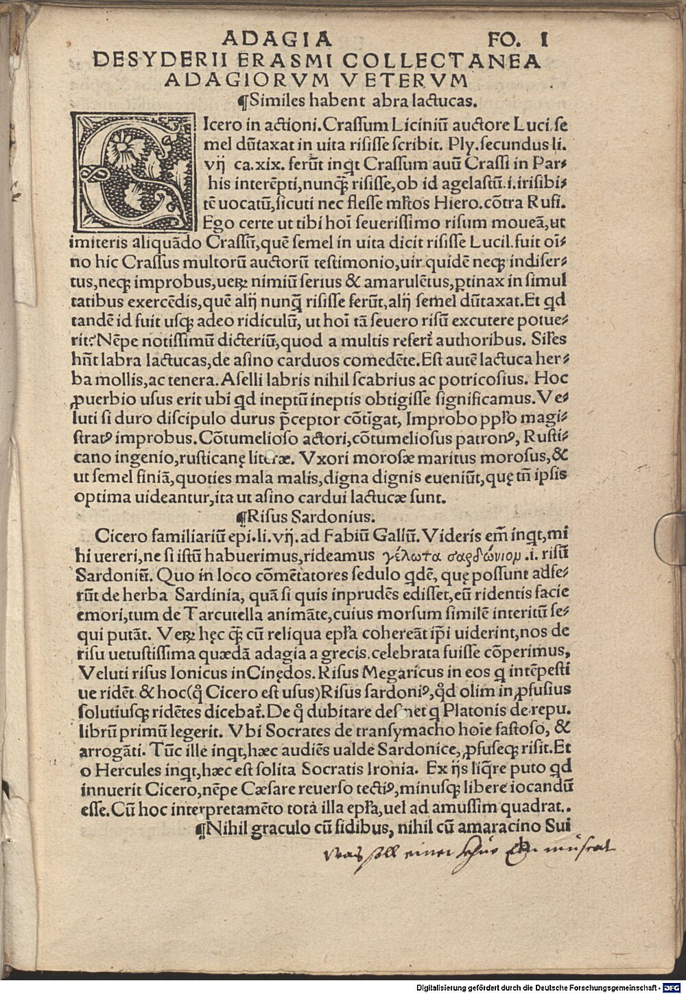 Image