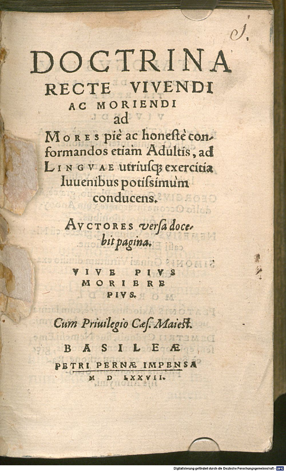 Image