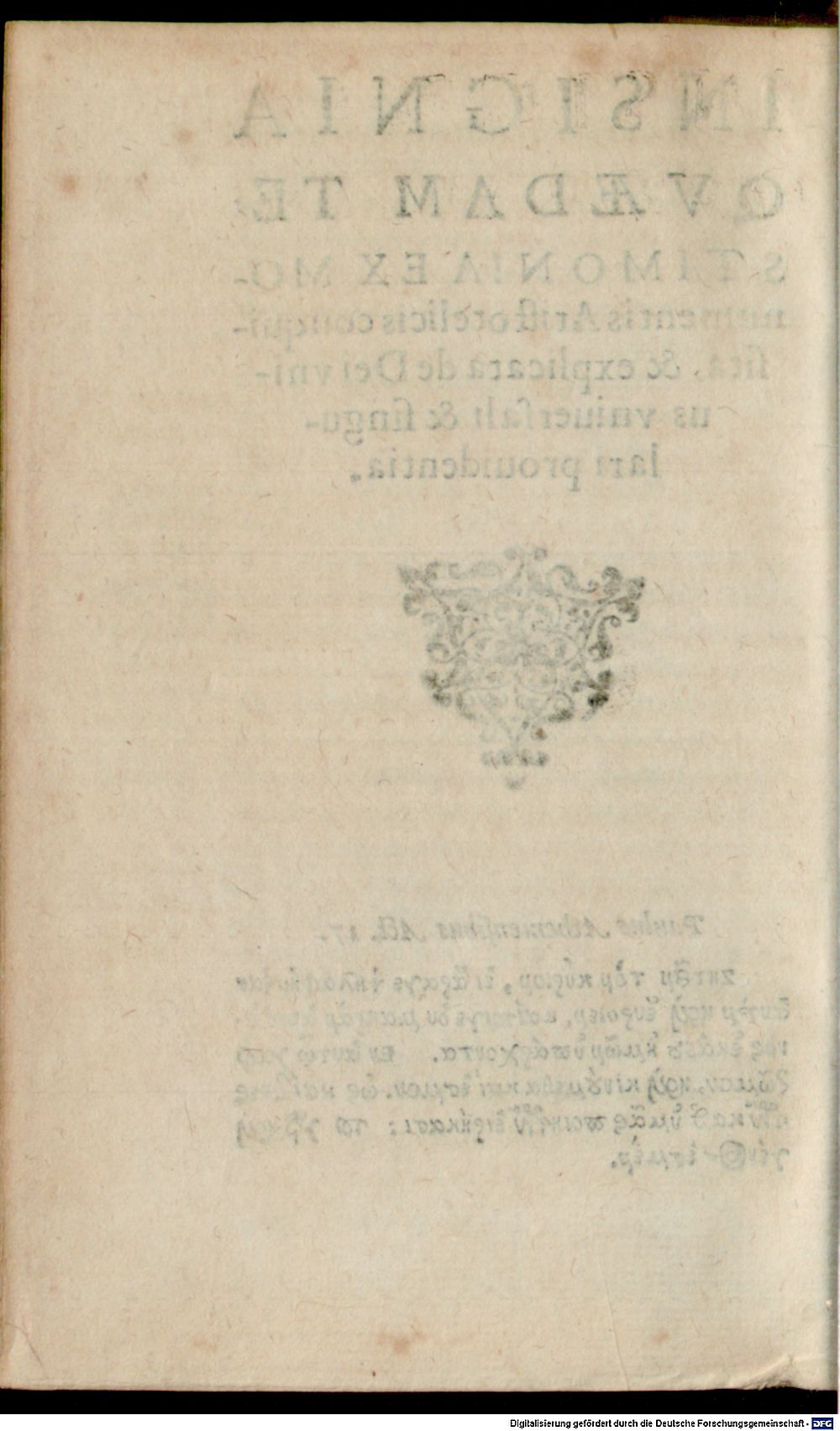 Image