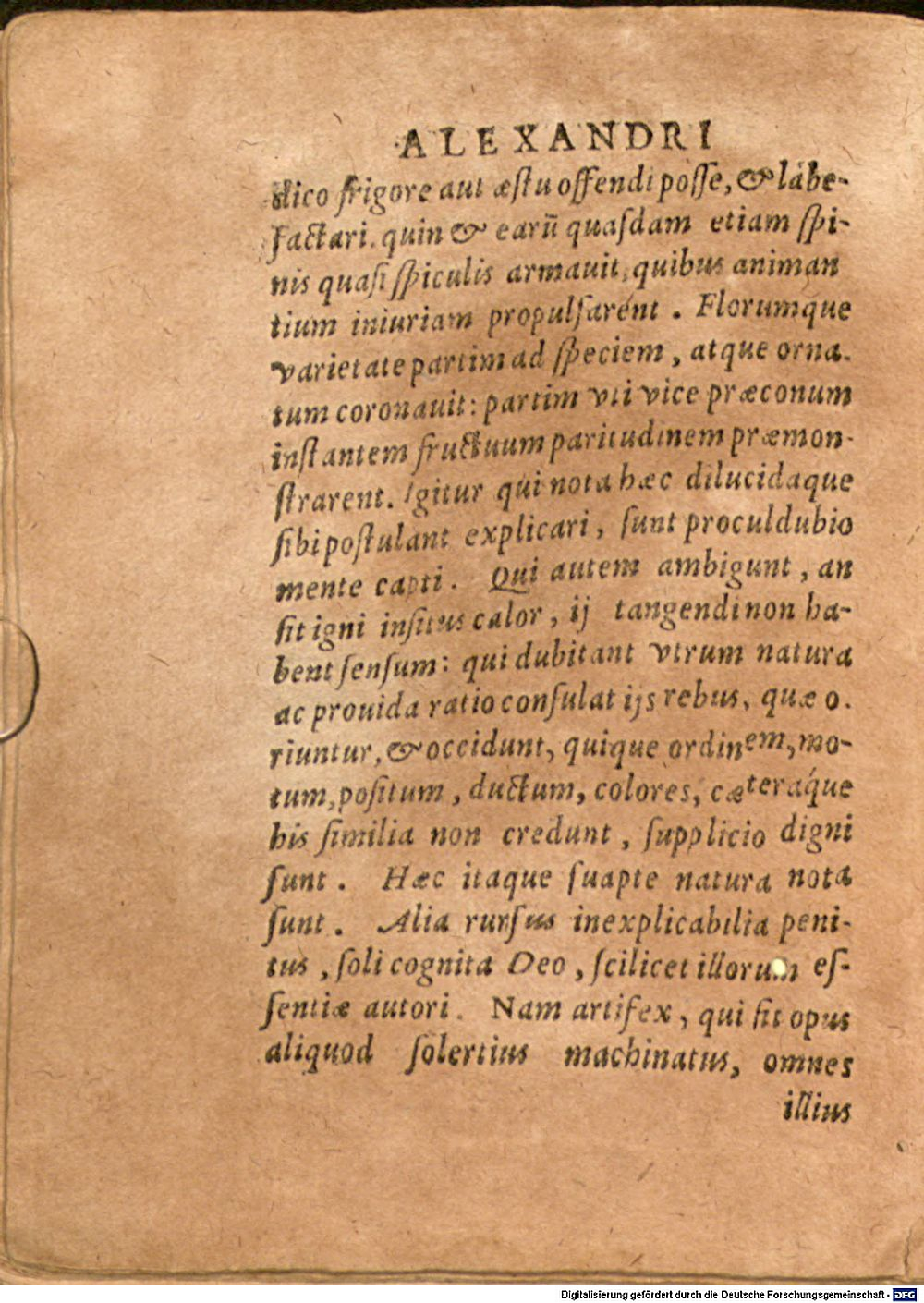 Image