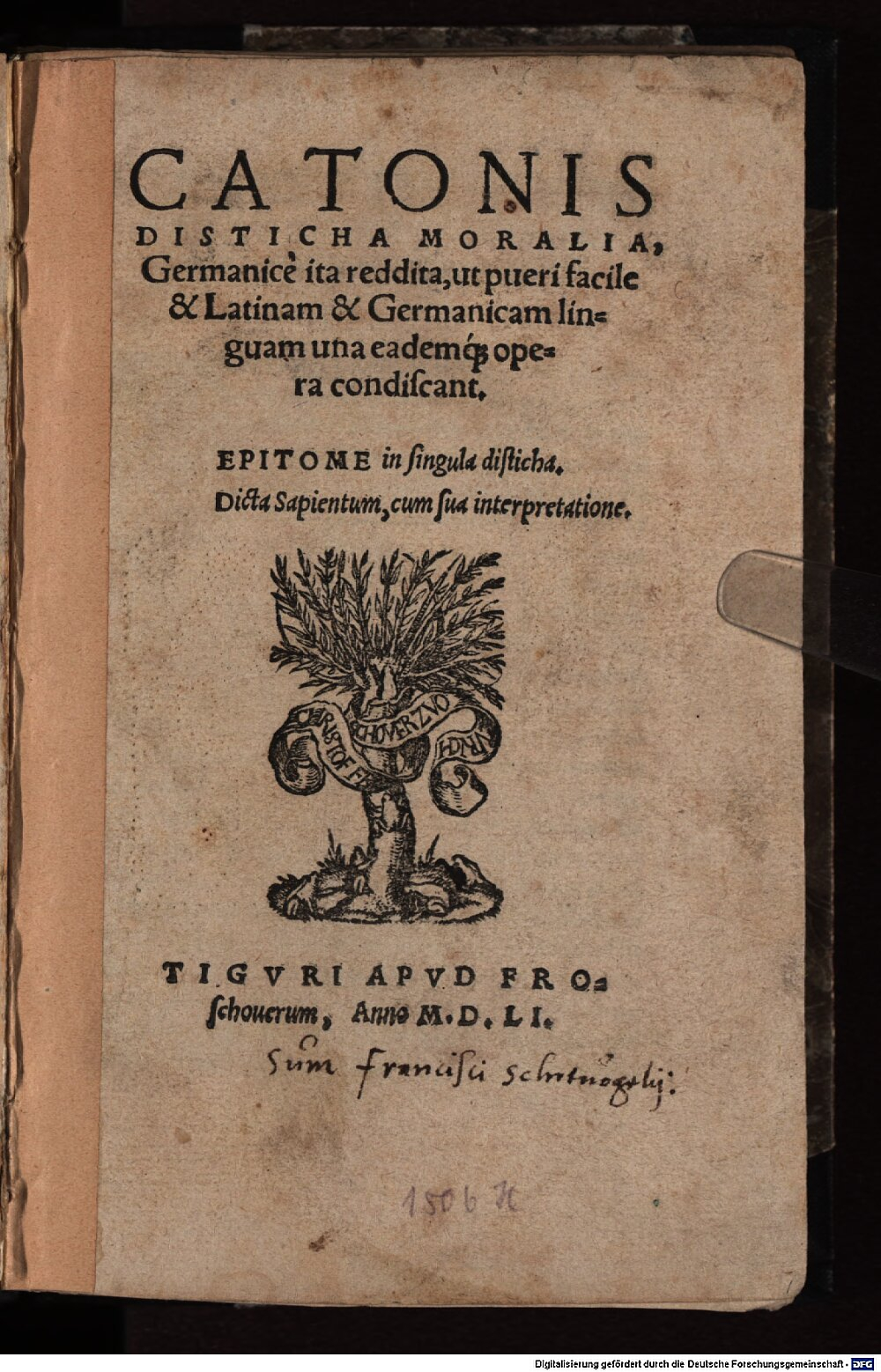 Image
