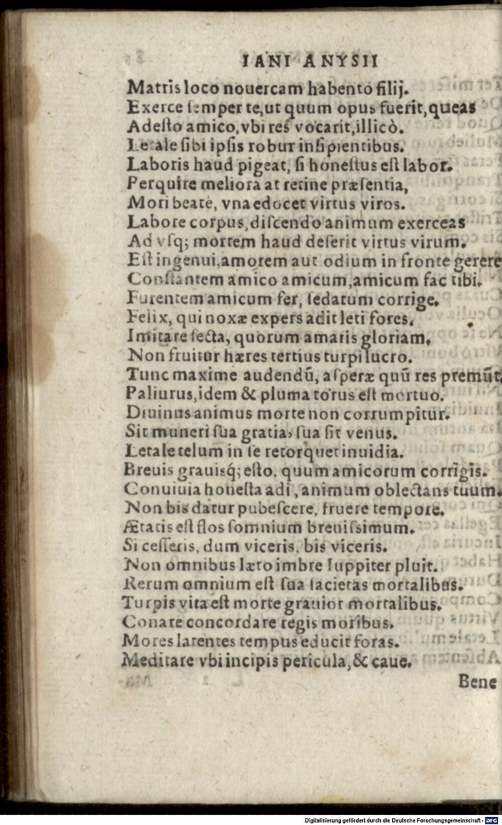 Image