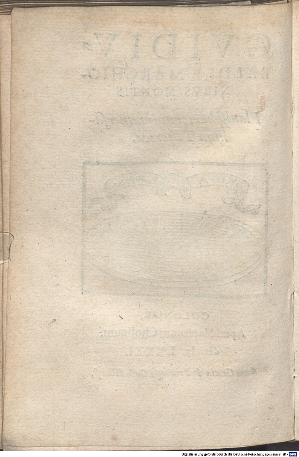 Image