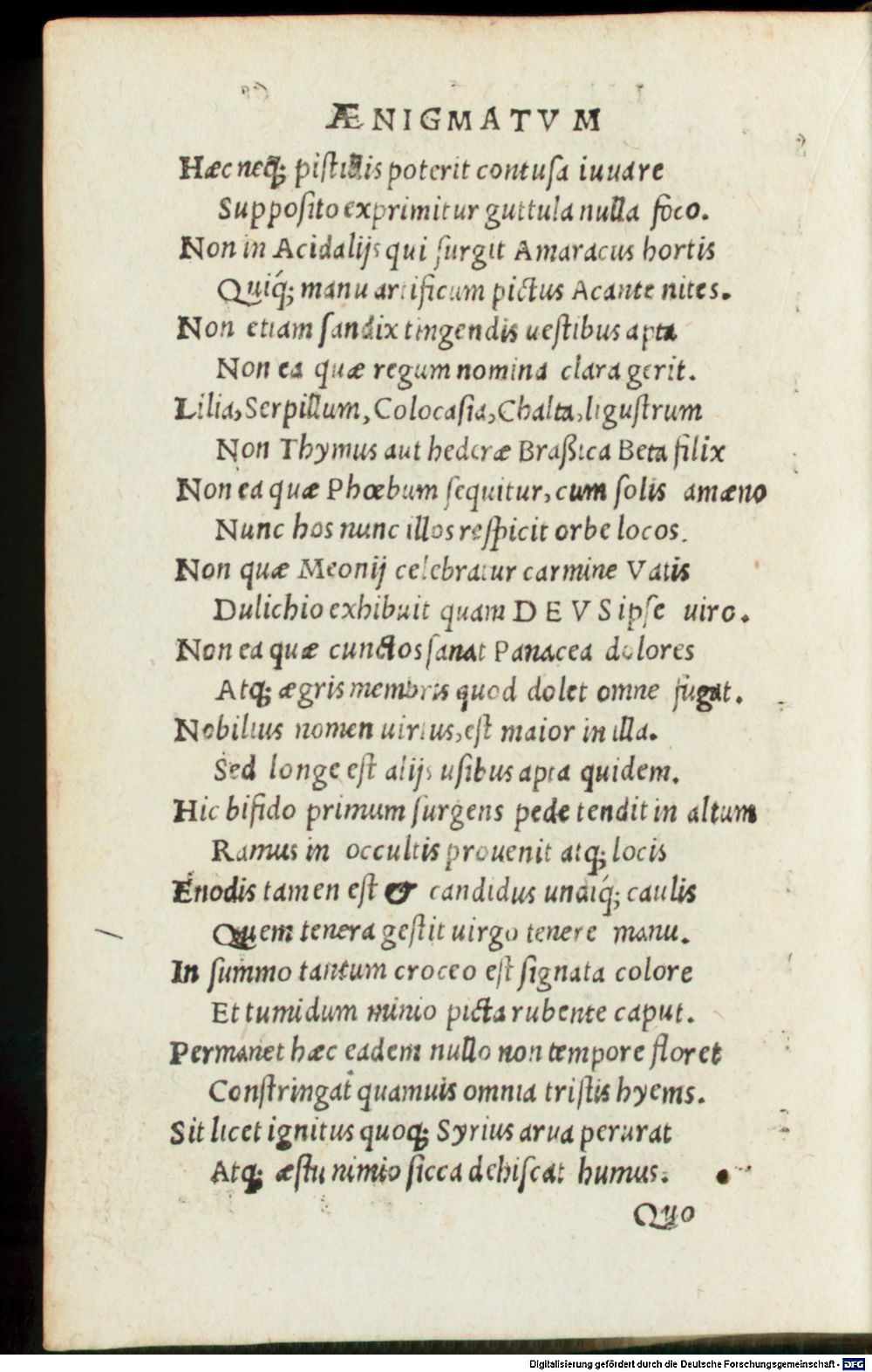Image