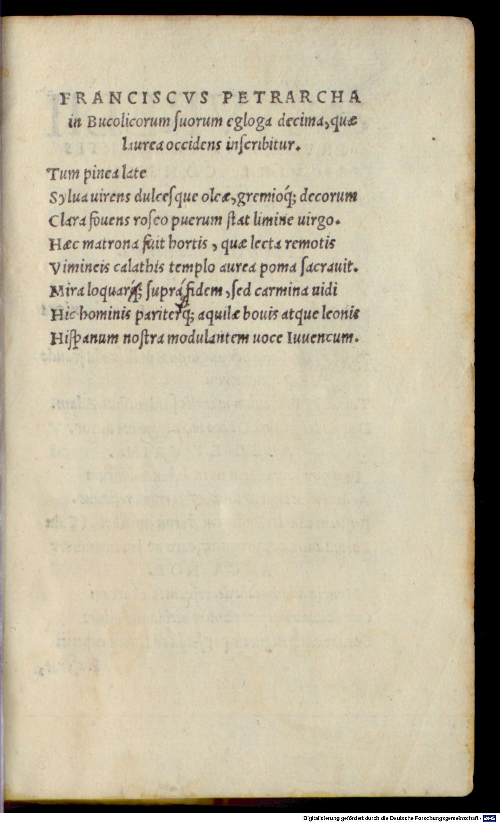 Image