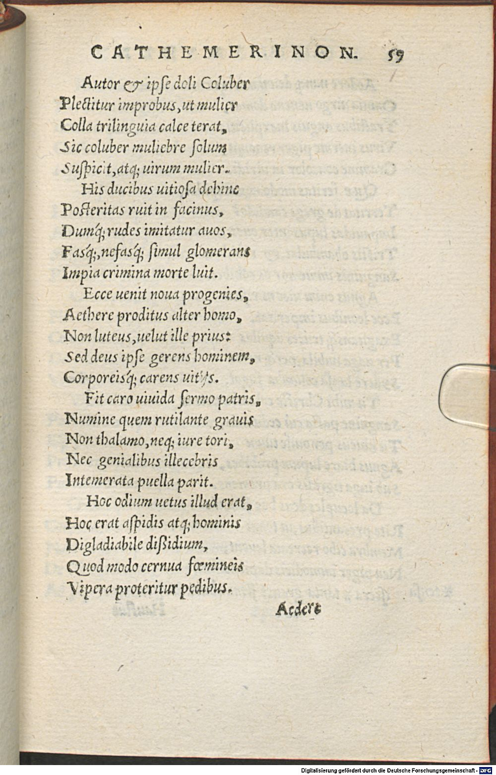 Image