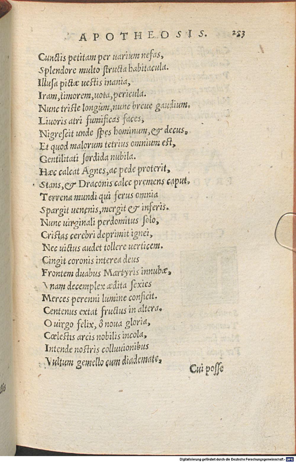 Image