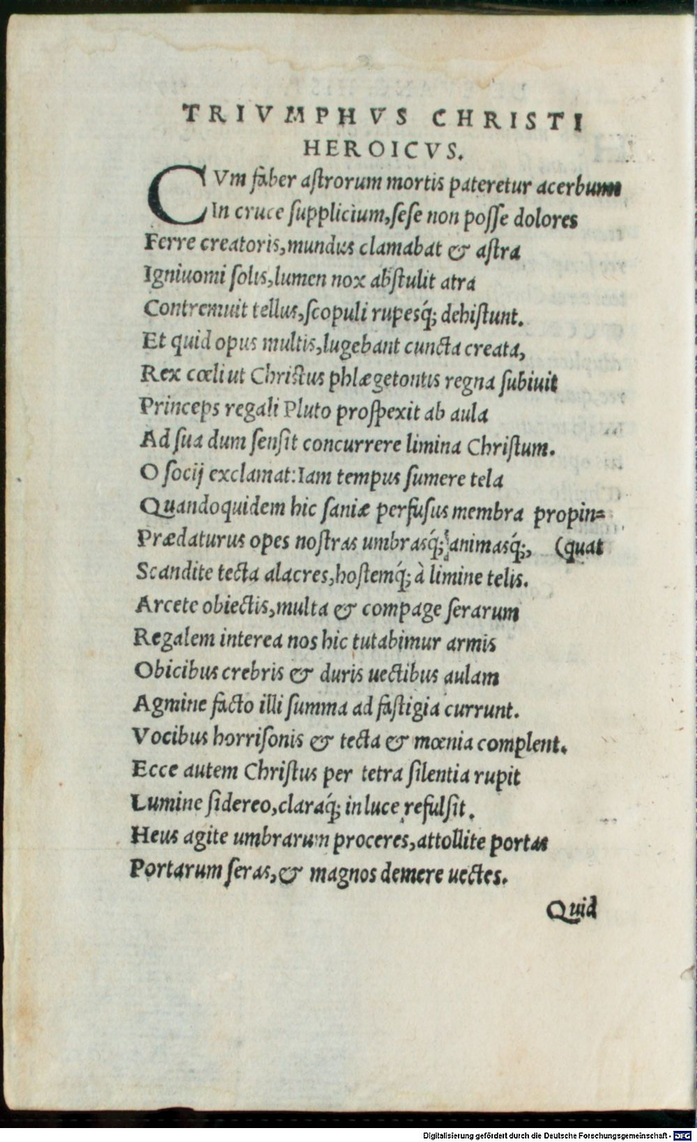 Image