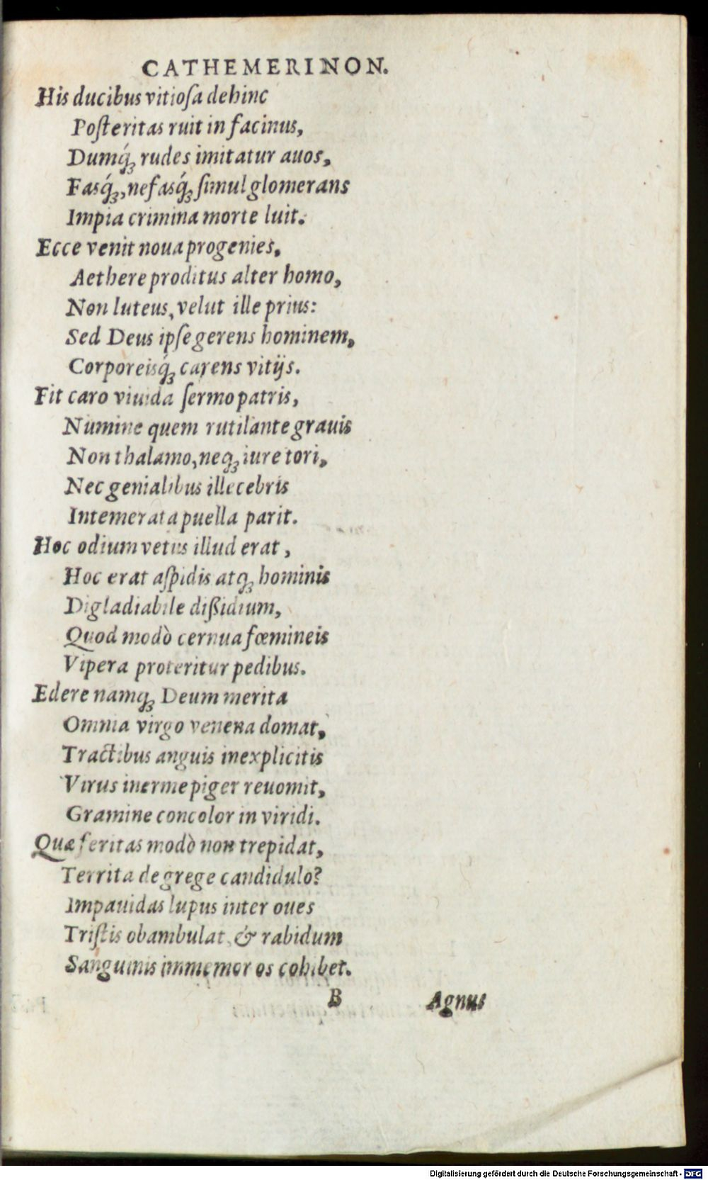 Image