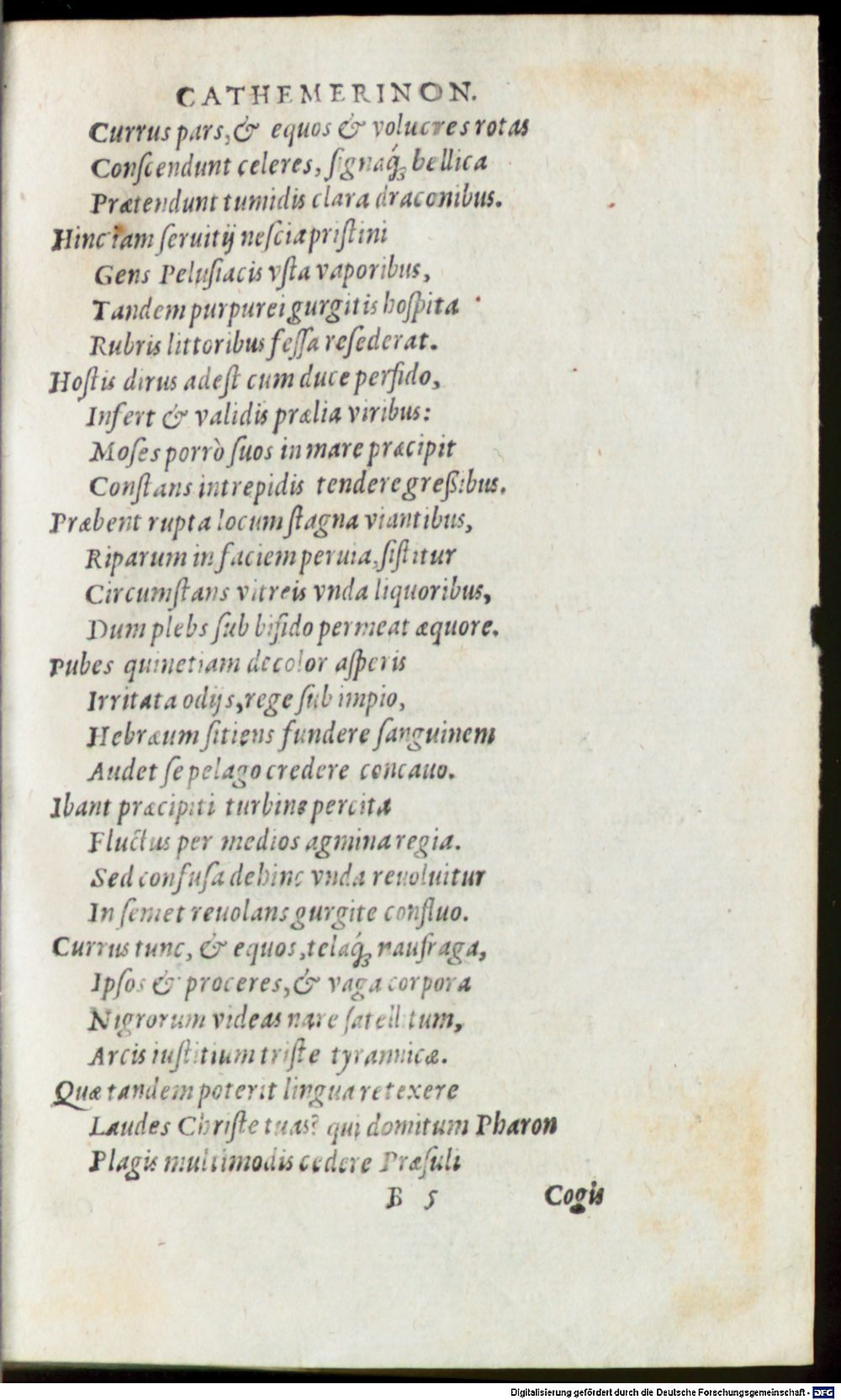Image