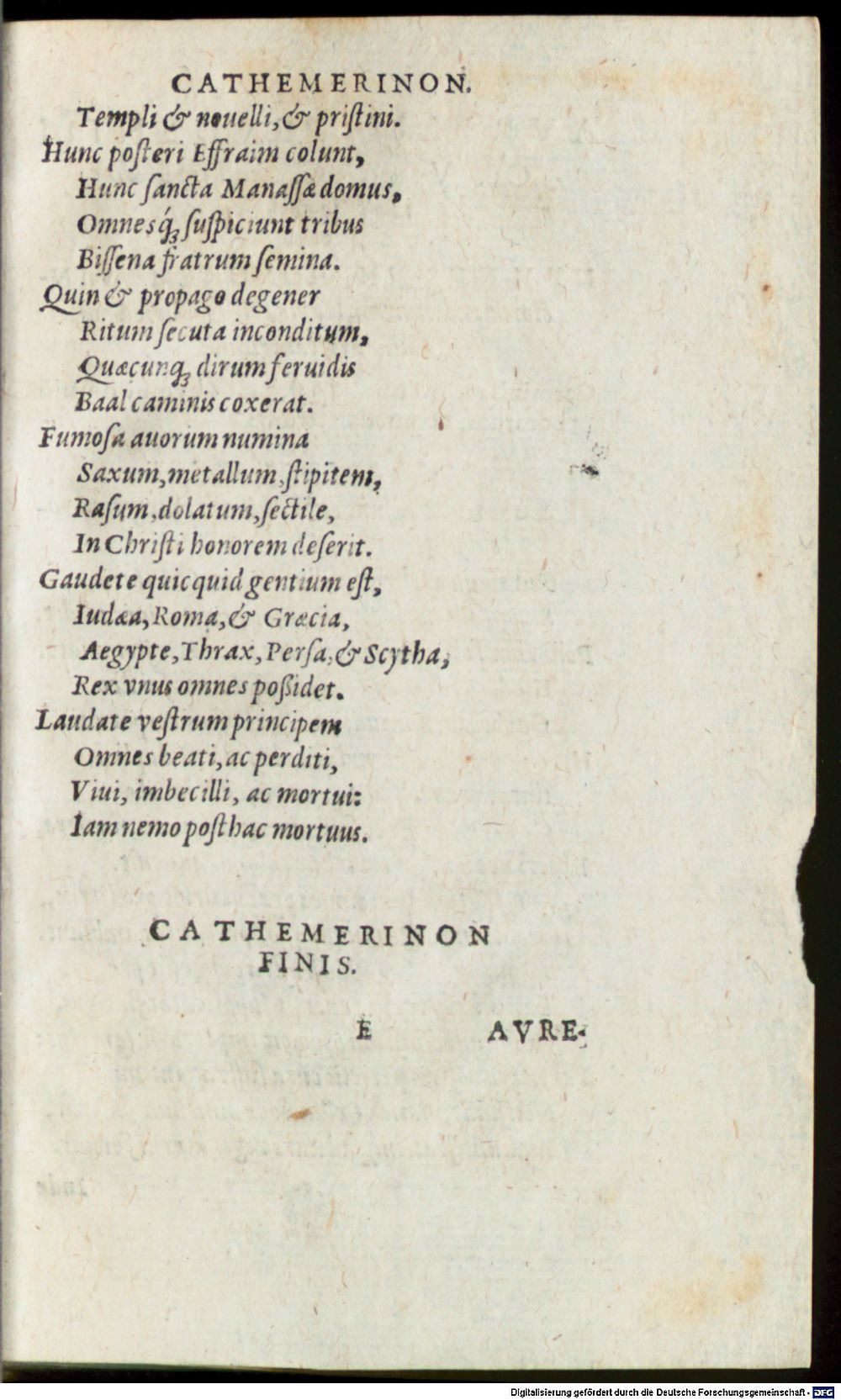 Image