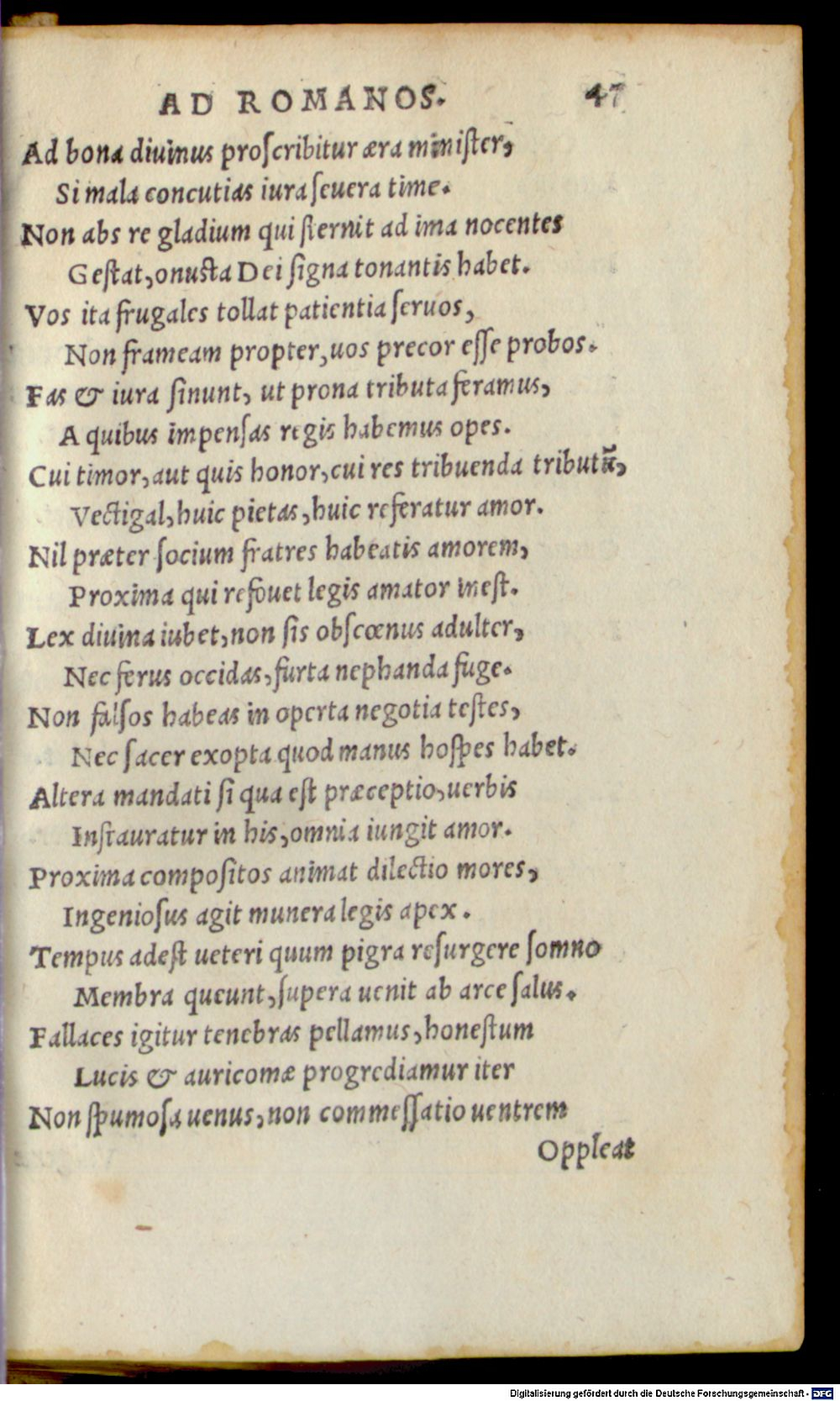 Image