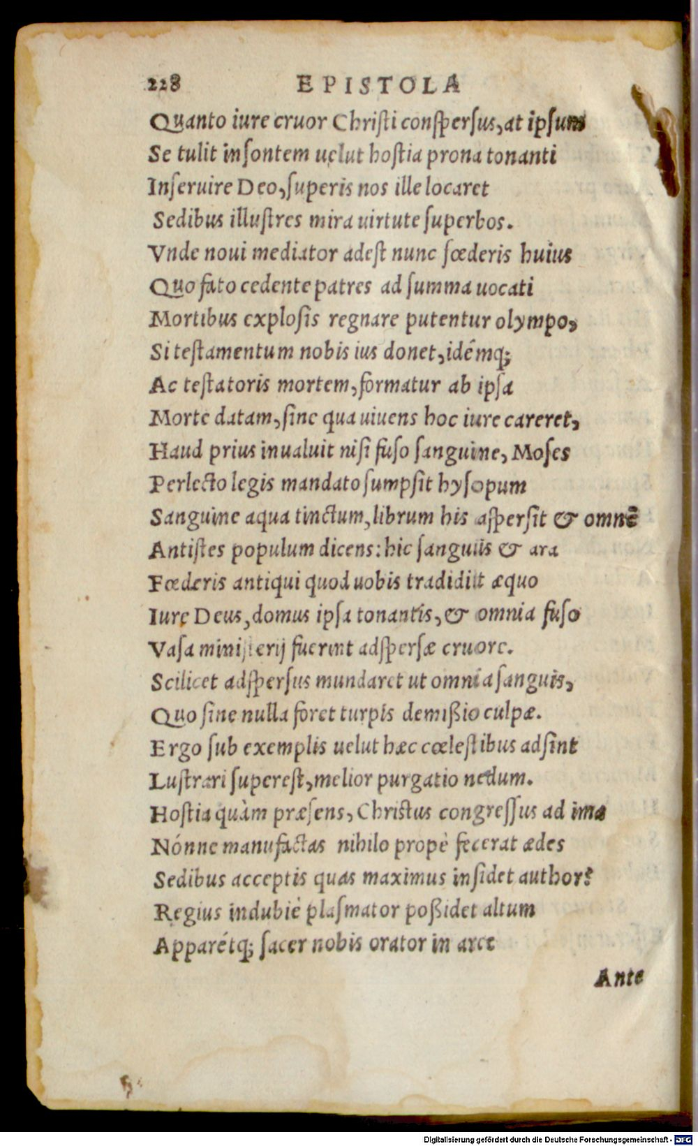 Image