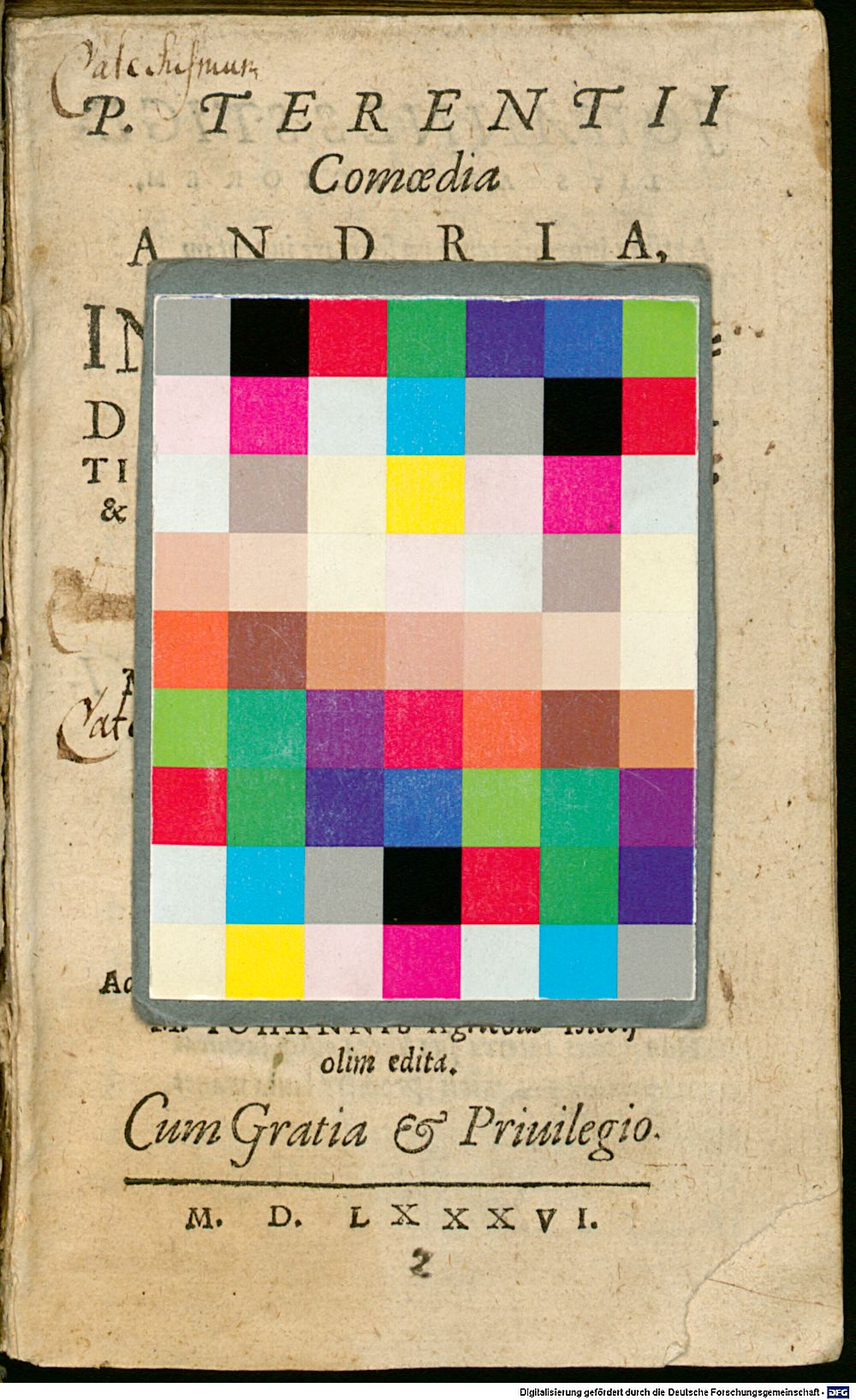 Image