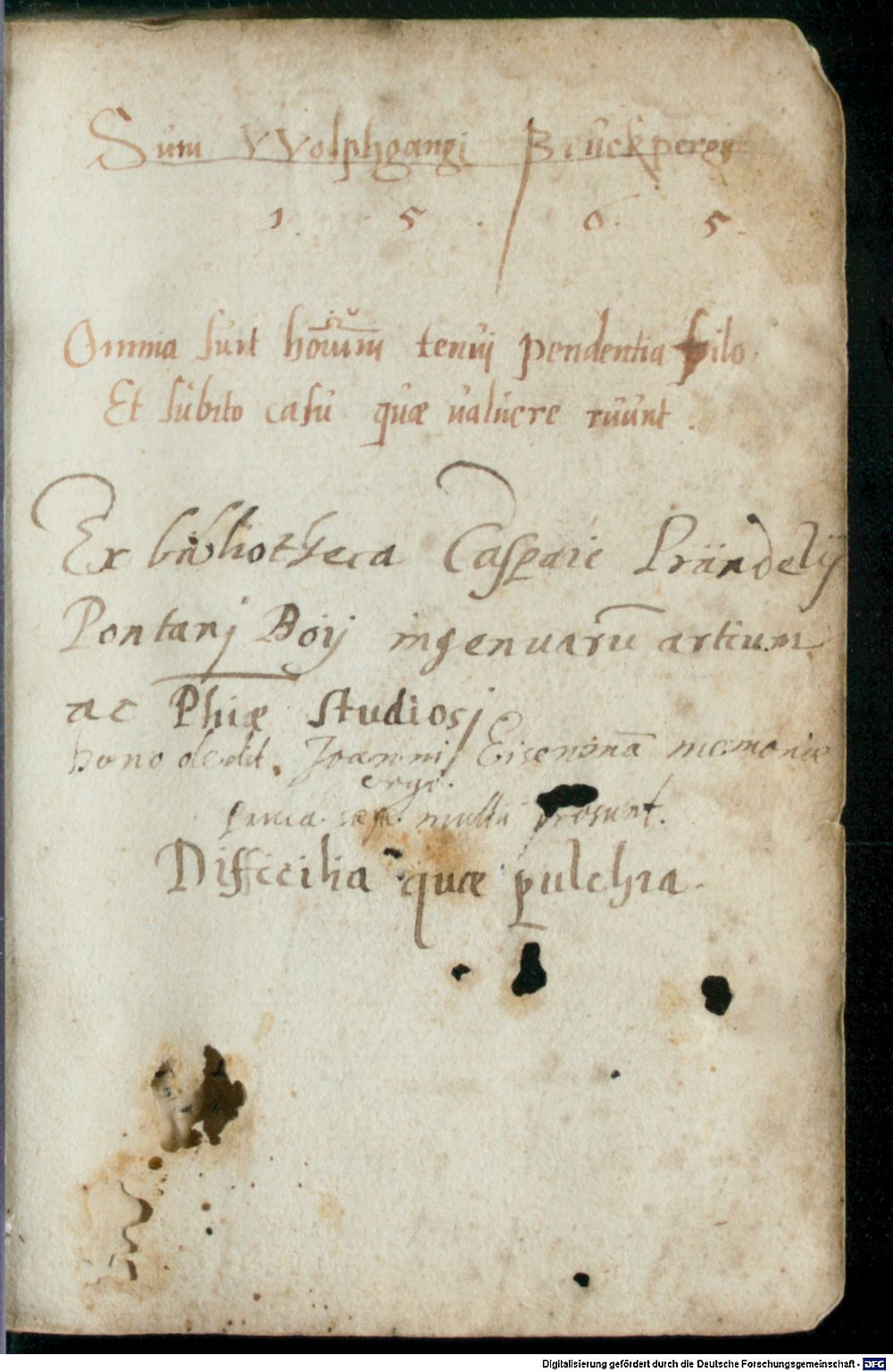 Image