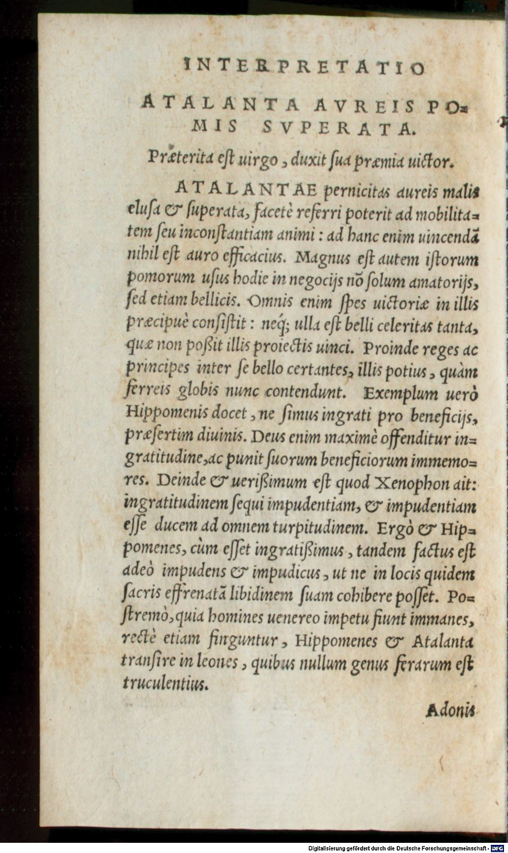 Image