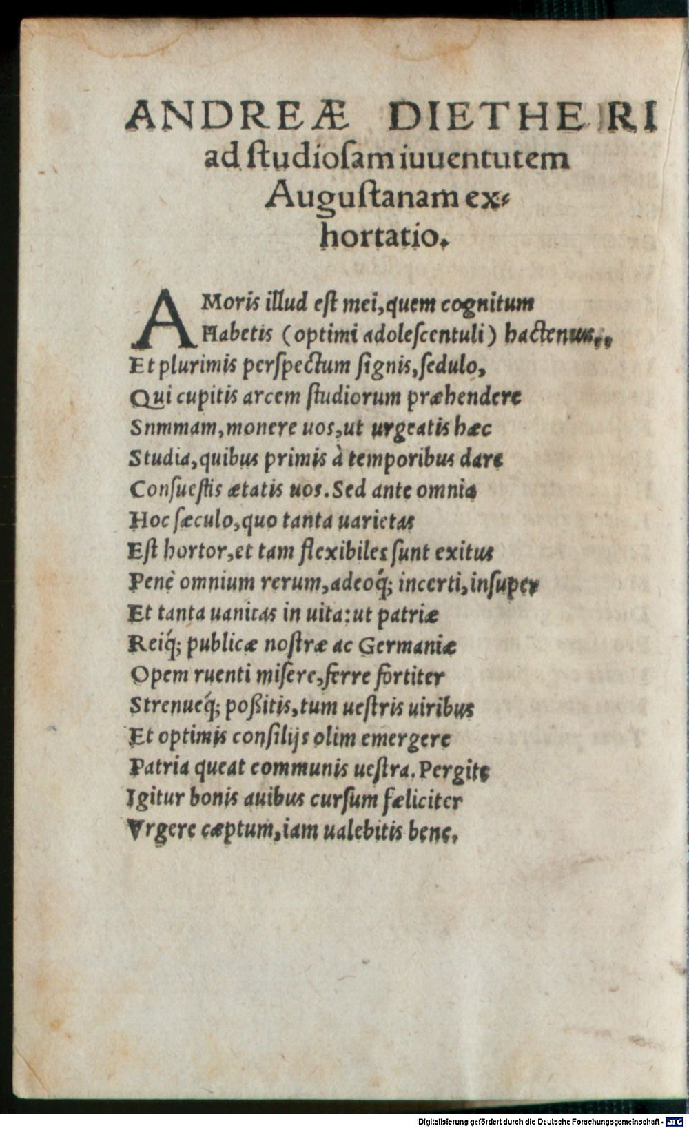 Image