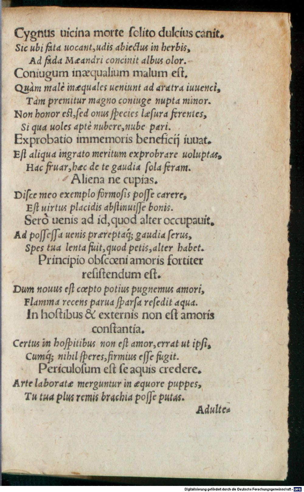 Image