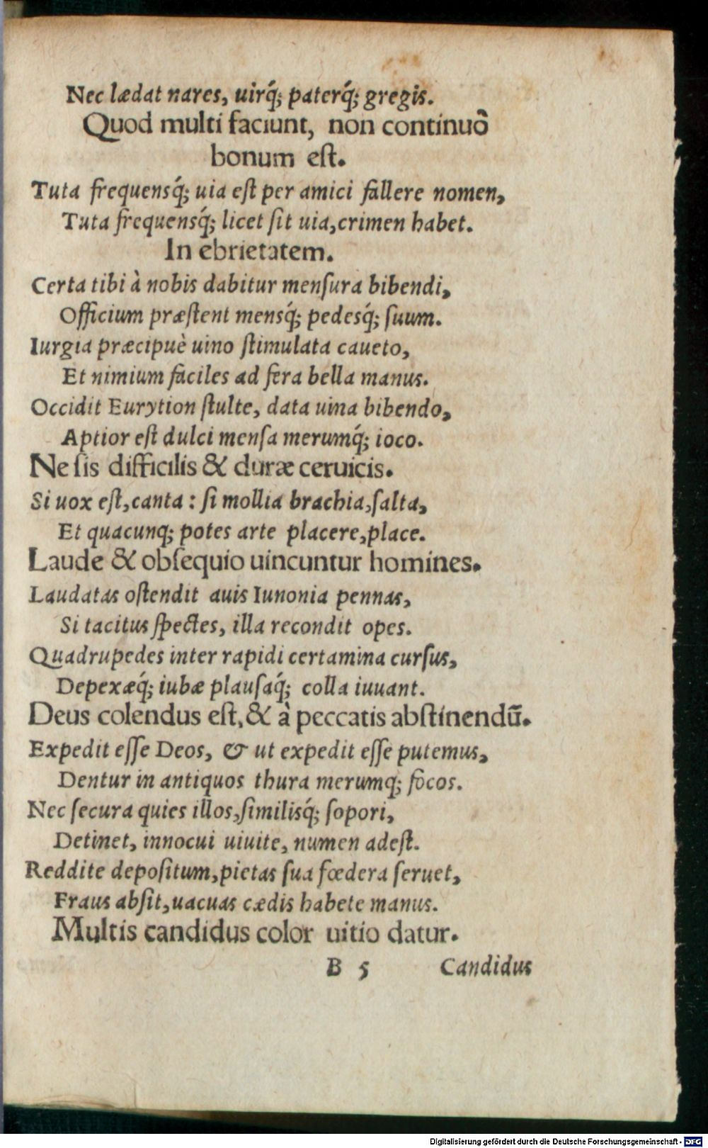 Image