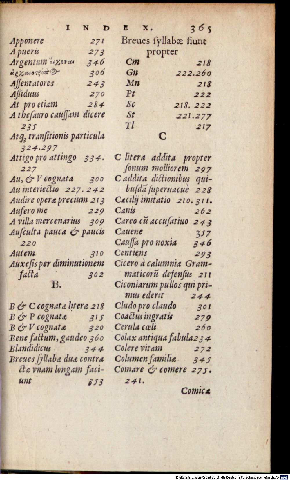 Image