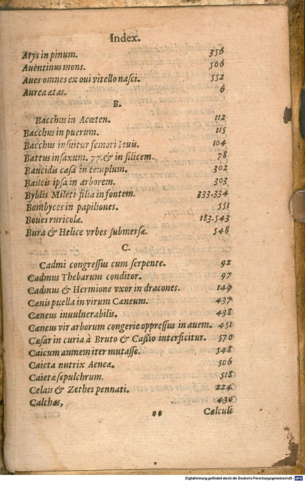 Image