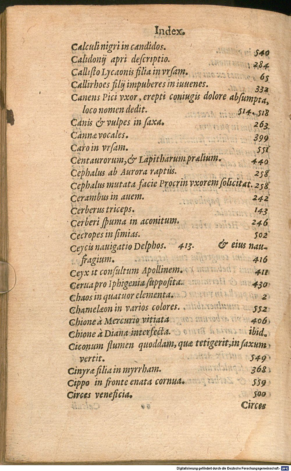 Image
