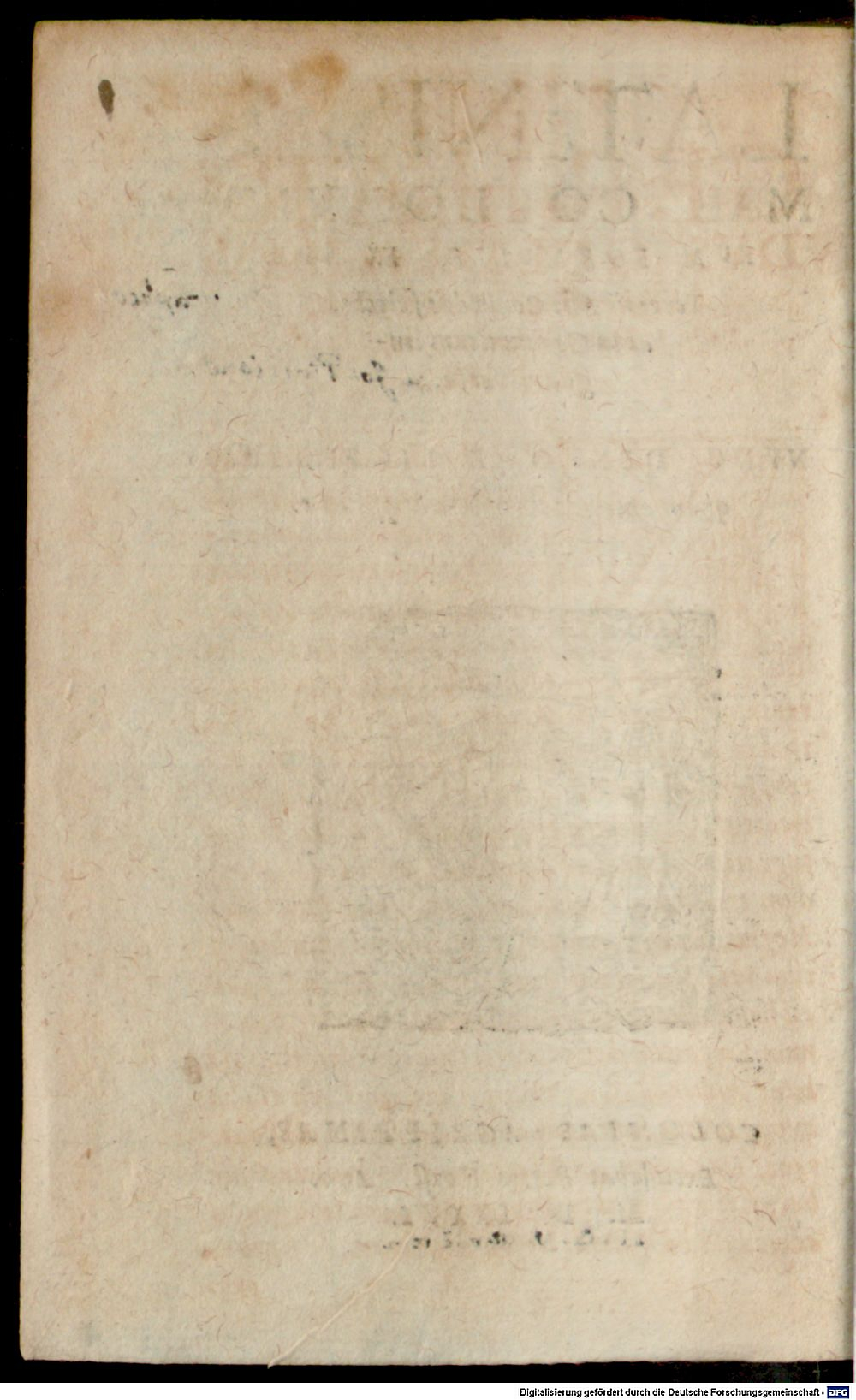 Image