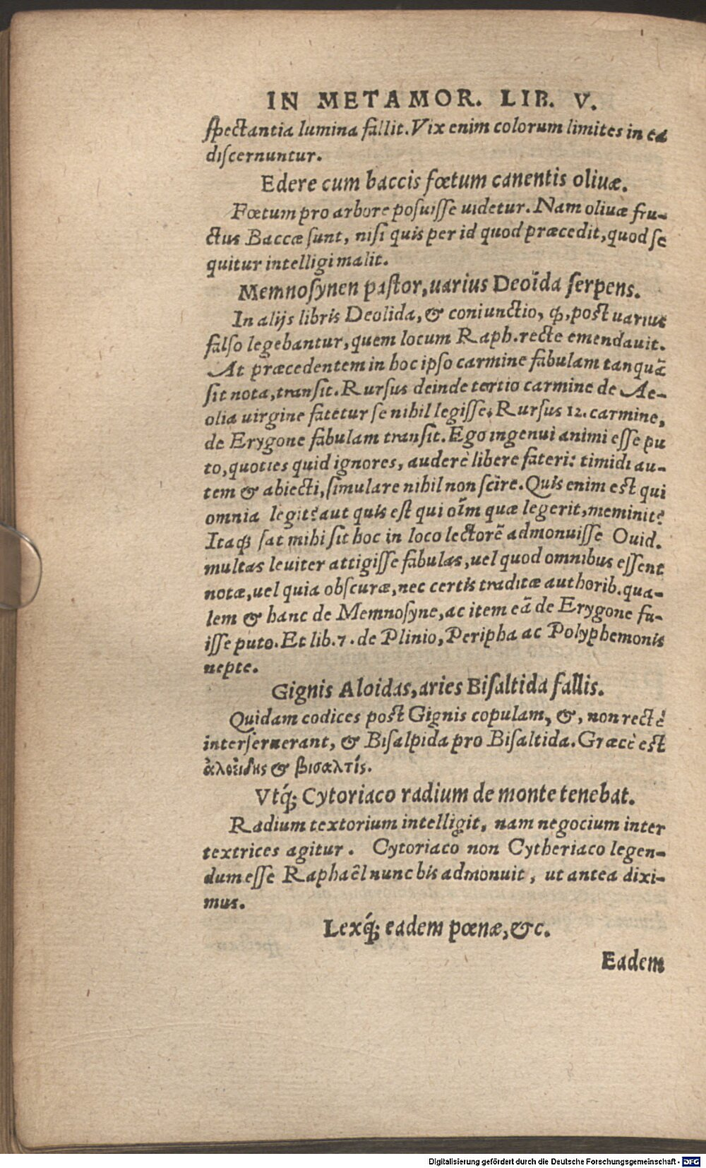 Image