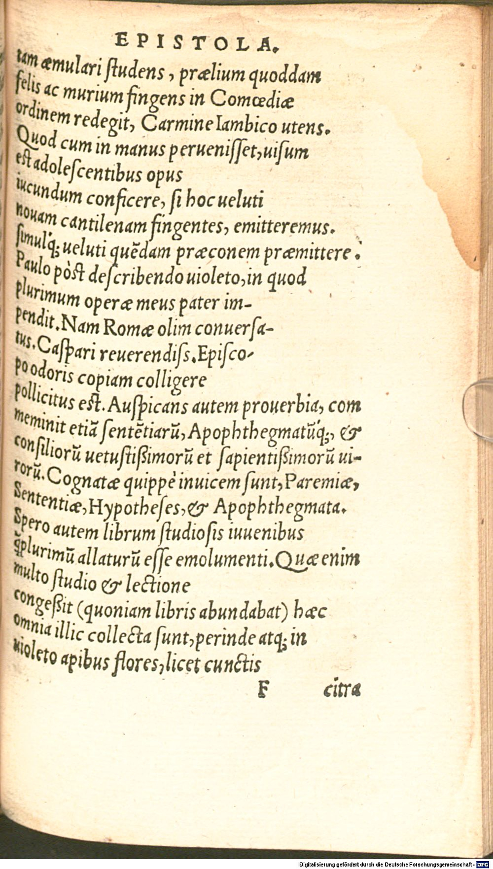 Image